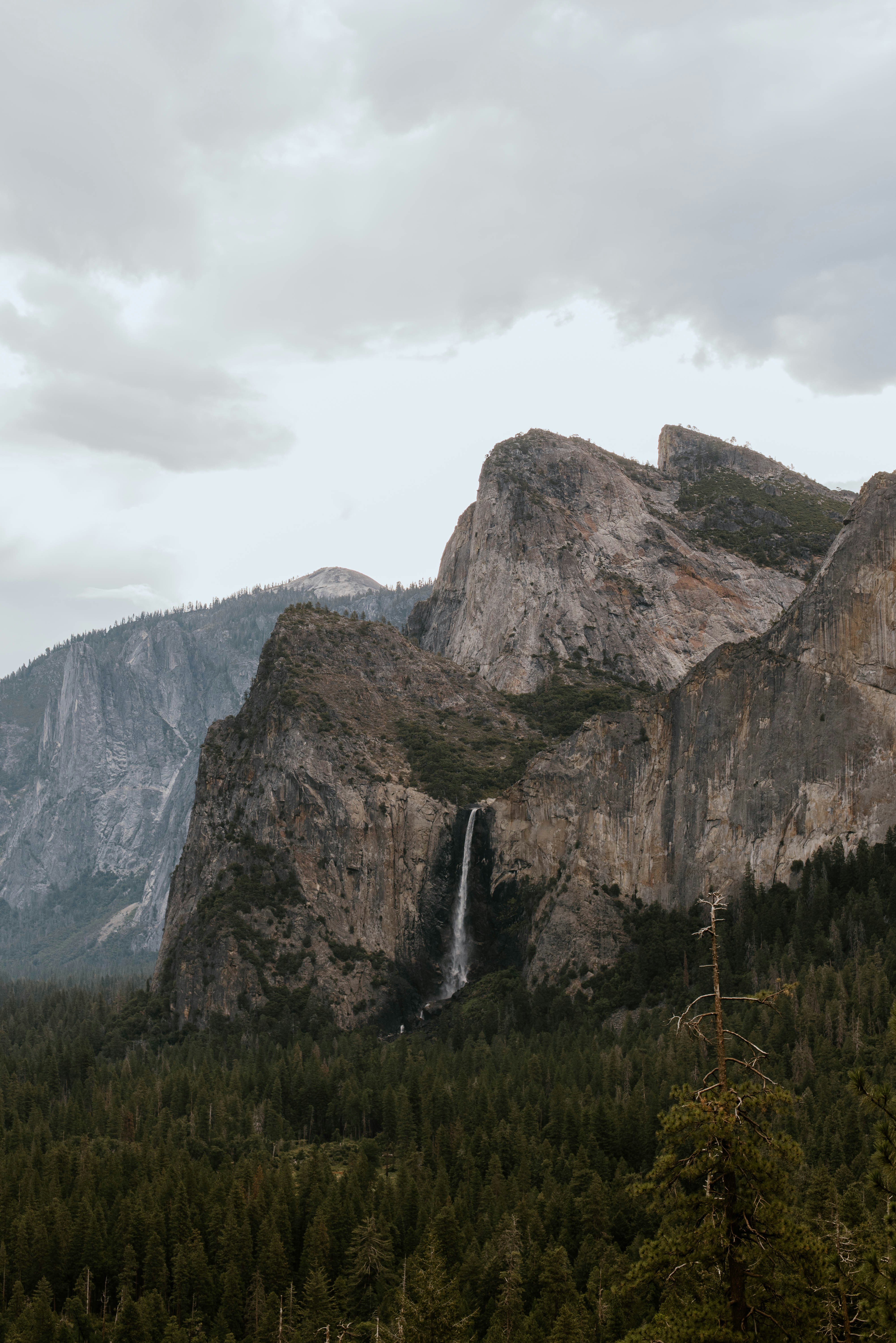 Photo by whitecanvascreative