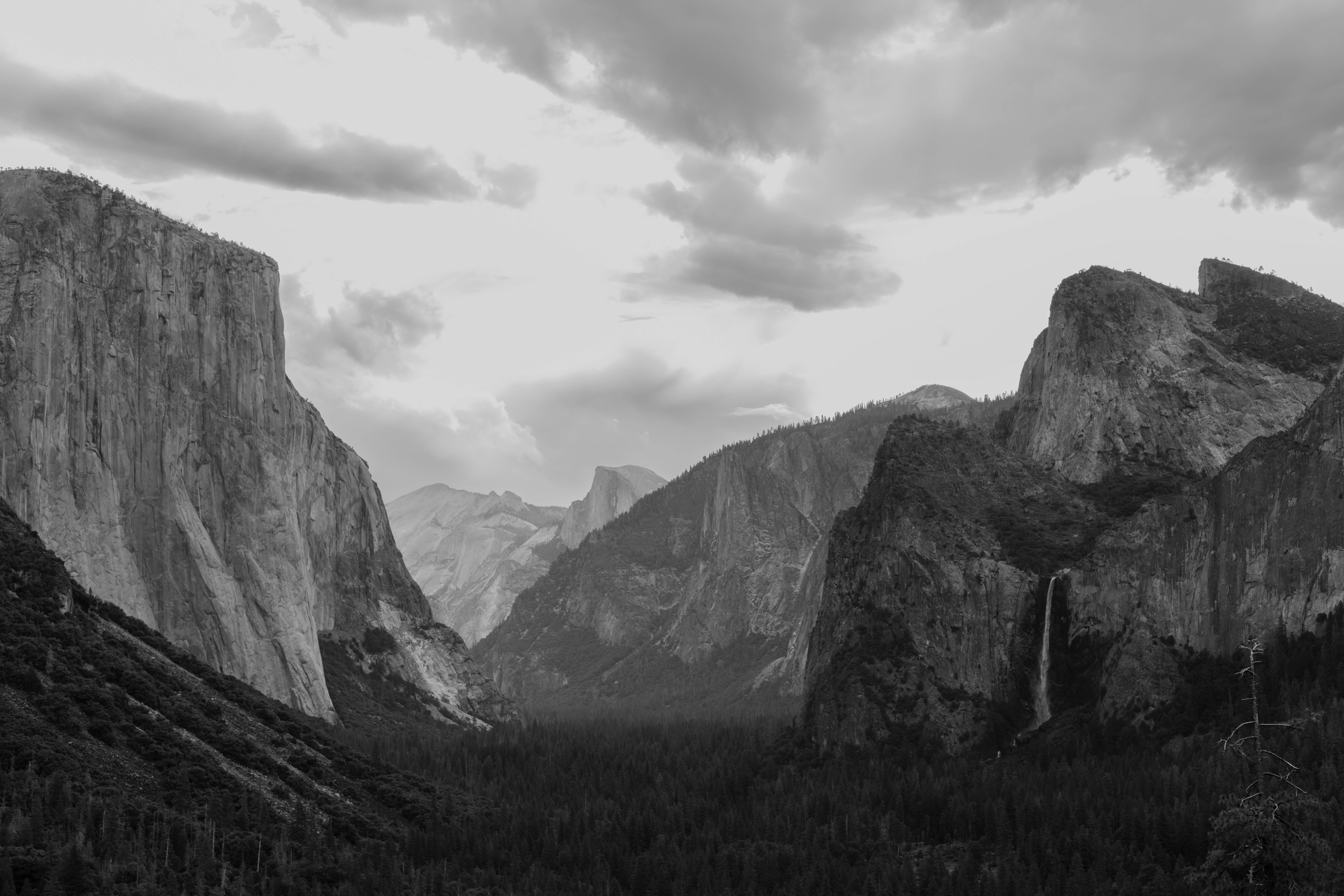 Photo by whitecanvascreative