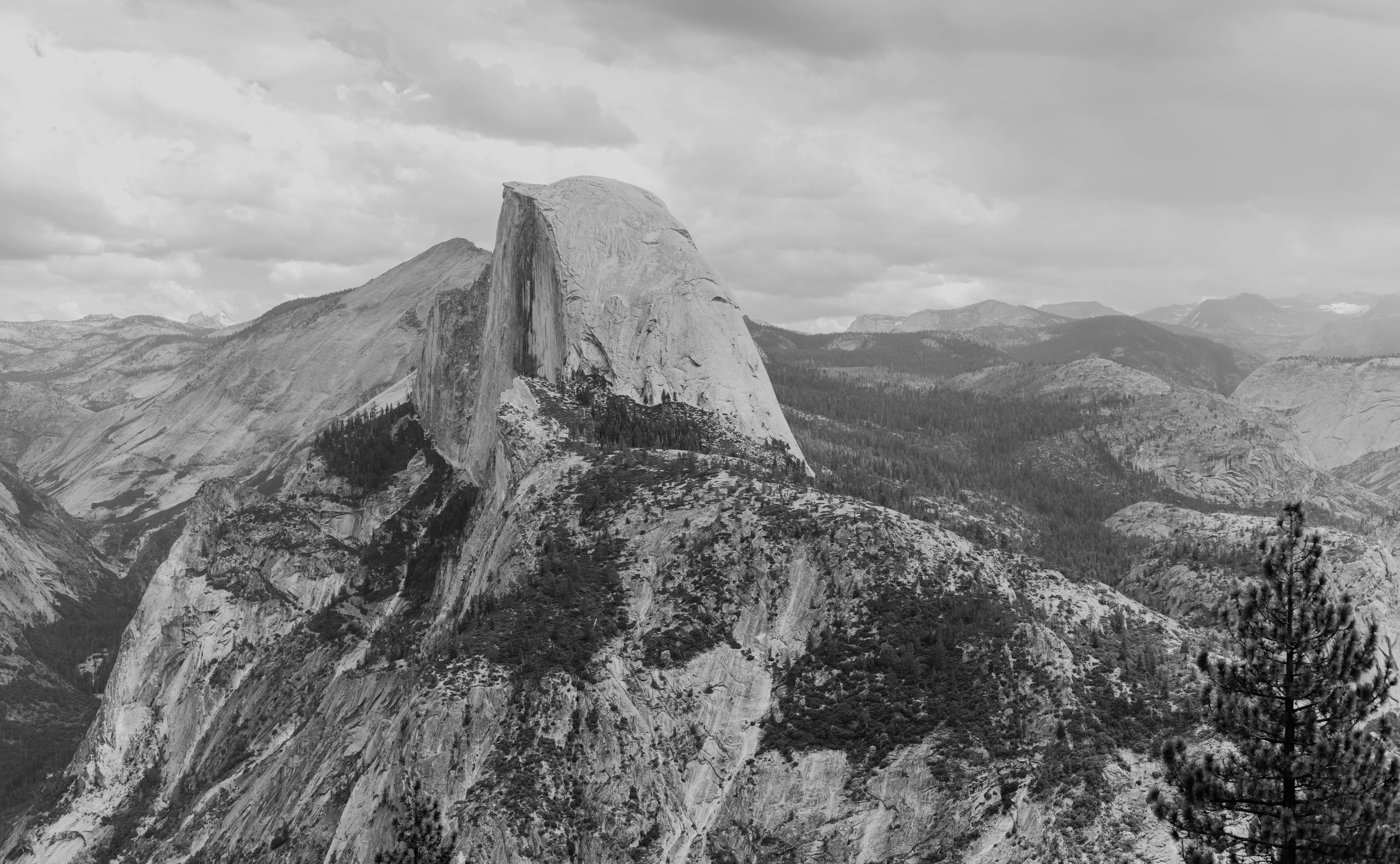 Photo by whitecanvascreative