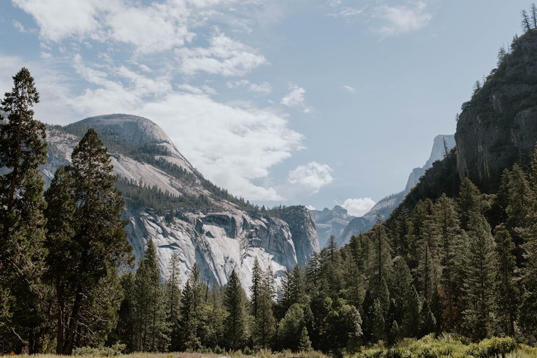 a scenic view of a mountain with trees and a river,