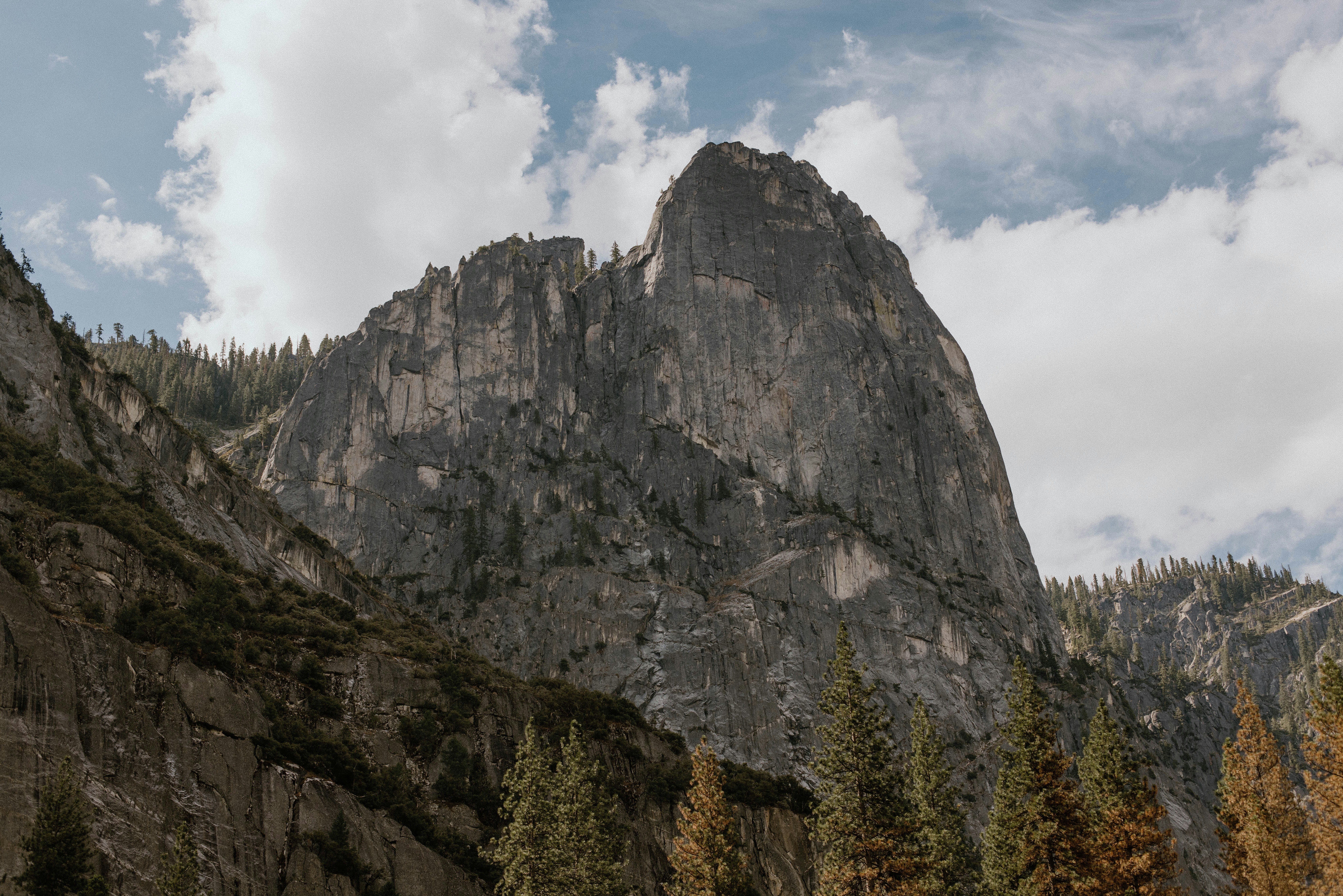 Photo by whitecanvascreative