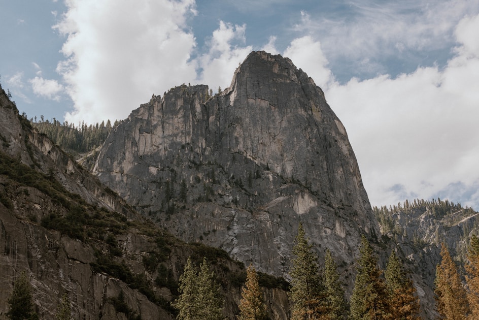 Red Flag Manager Interview Quiz: Which Type Is Hiring You?