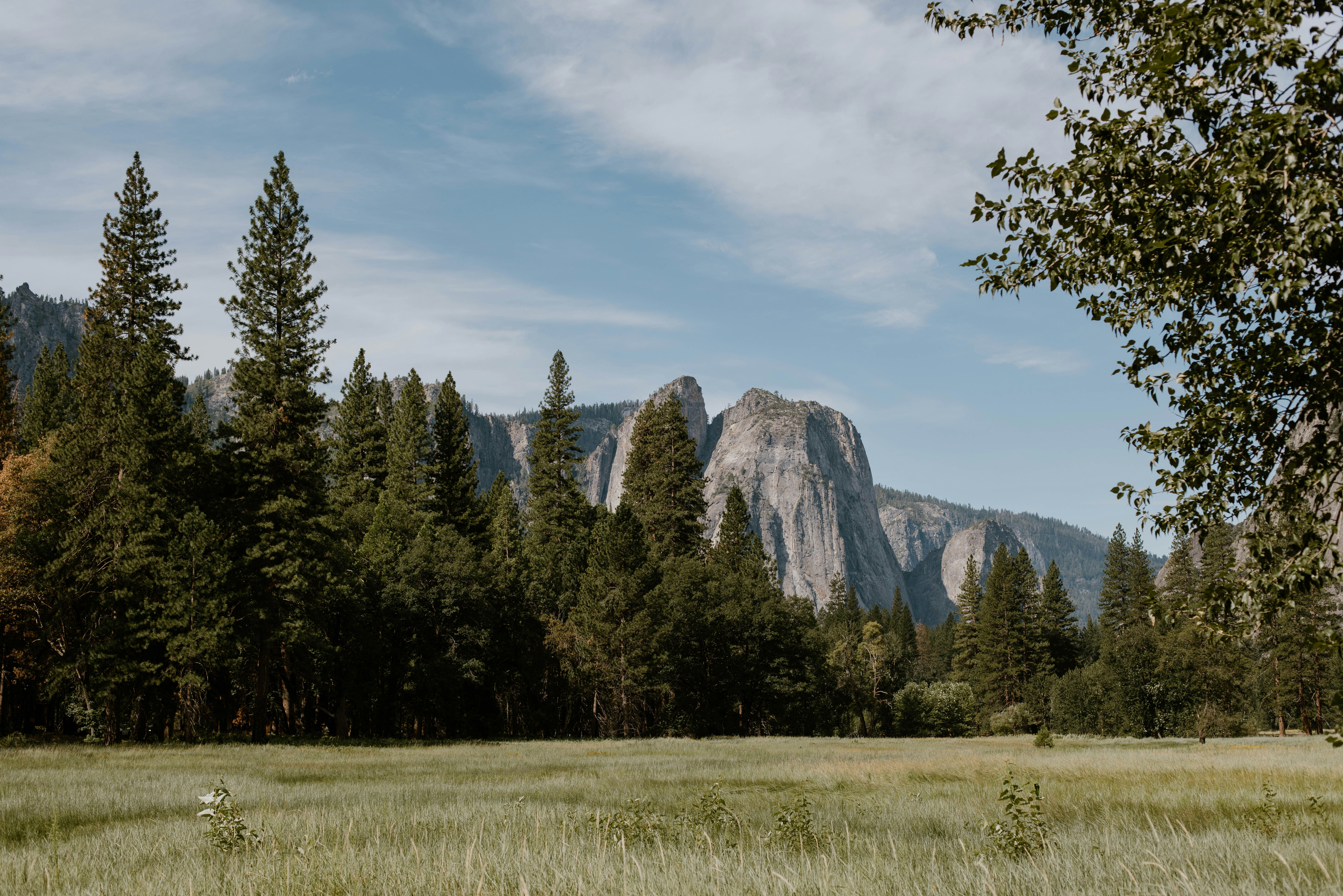 Photo by whitecanvascreative