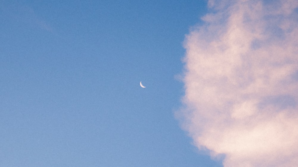 a half moon is seen in the blue sky