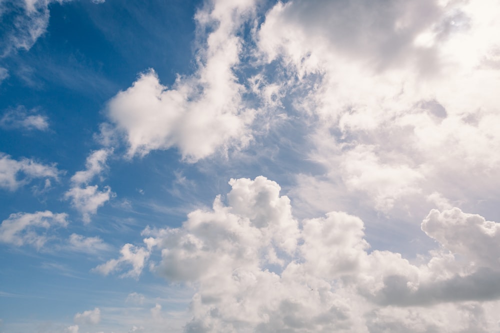 a blue sky with white clouds and a plane in the foreground