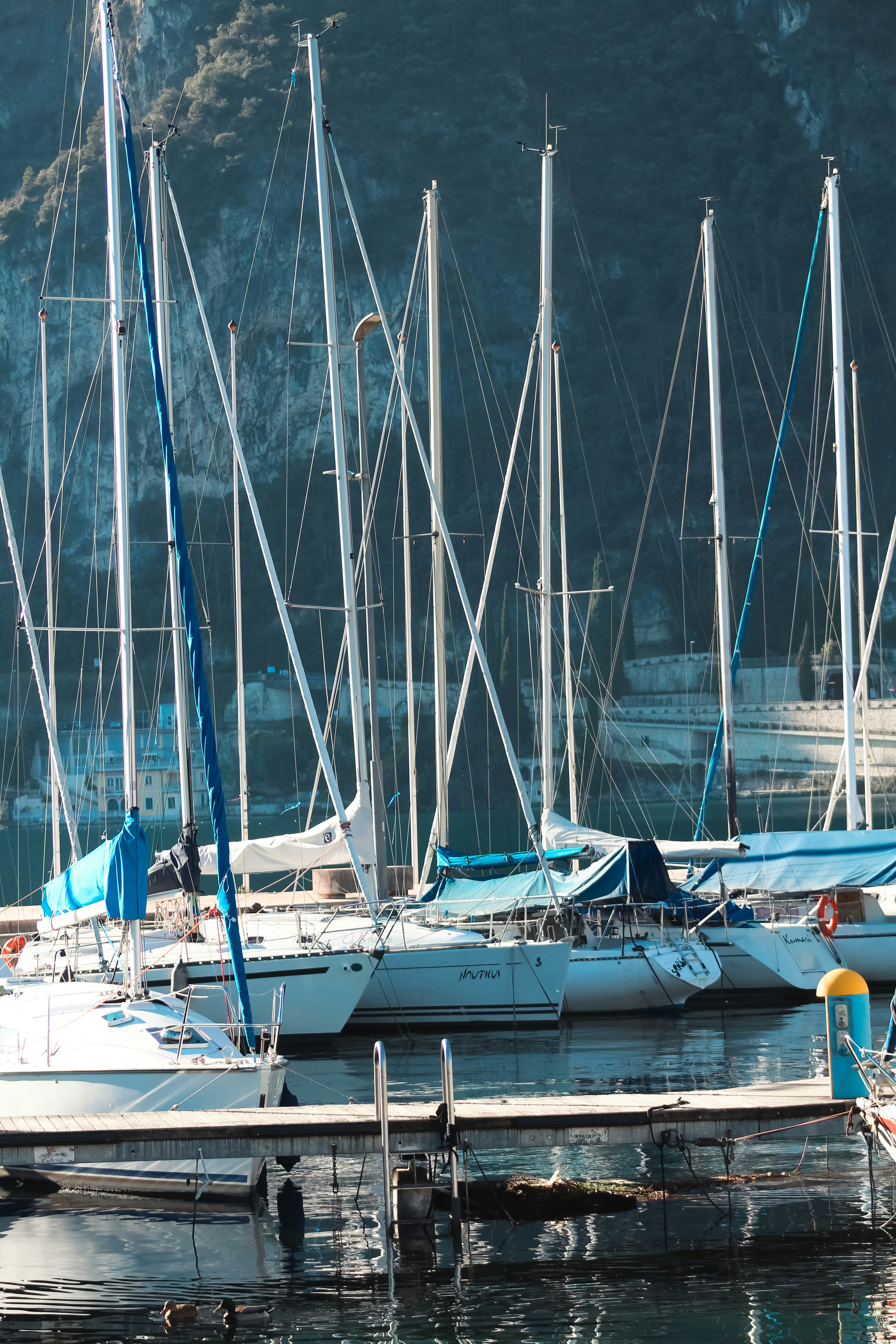 Photo by feliciafelicia