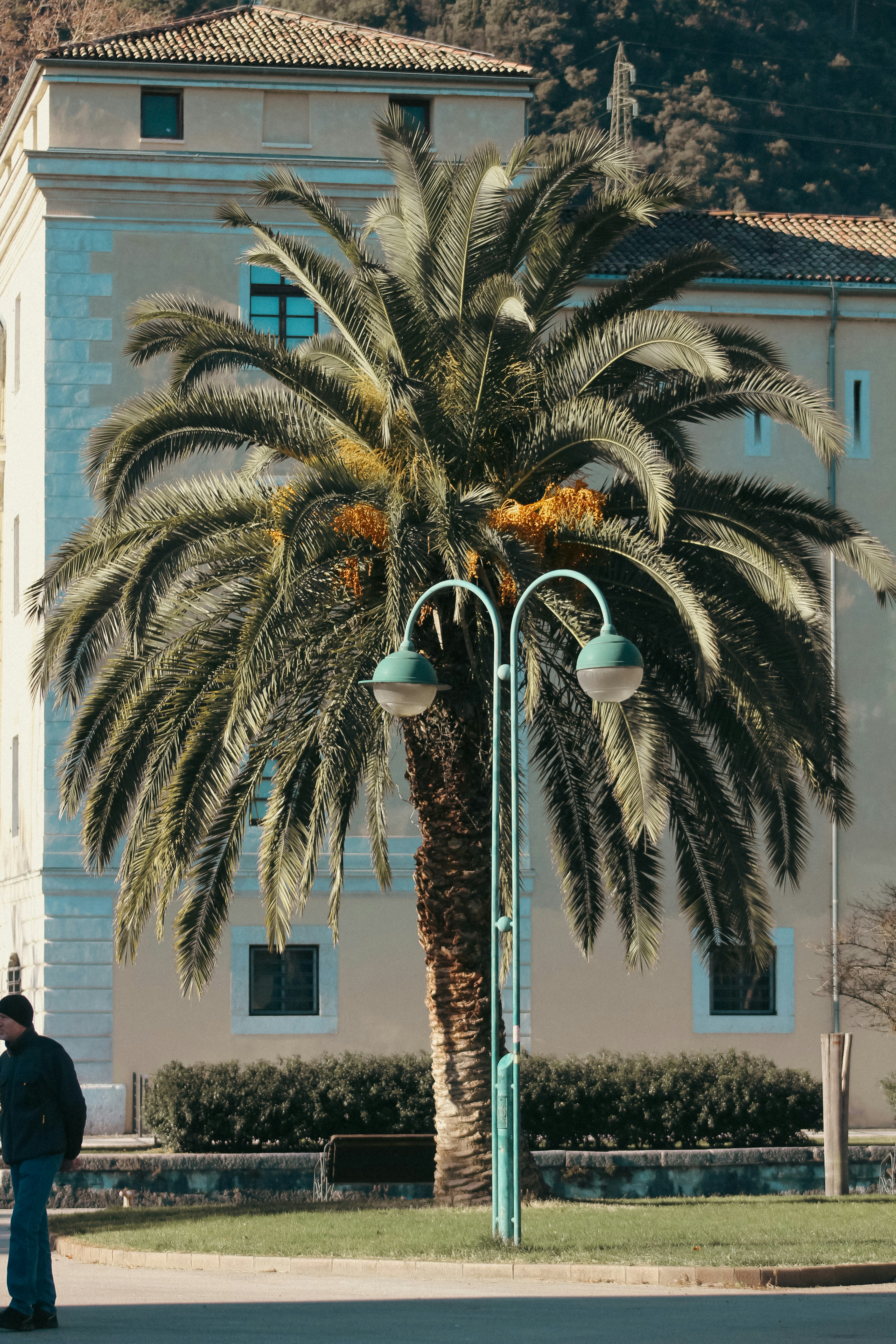 Photo by feliciafelicia