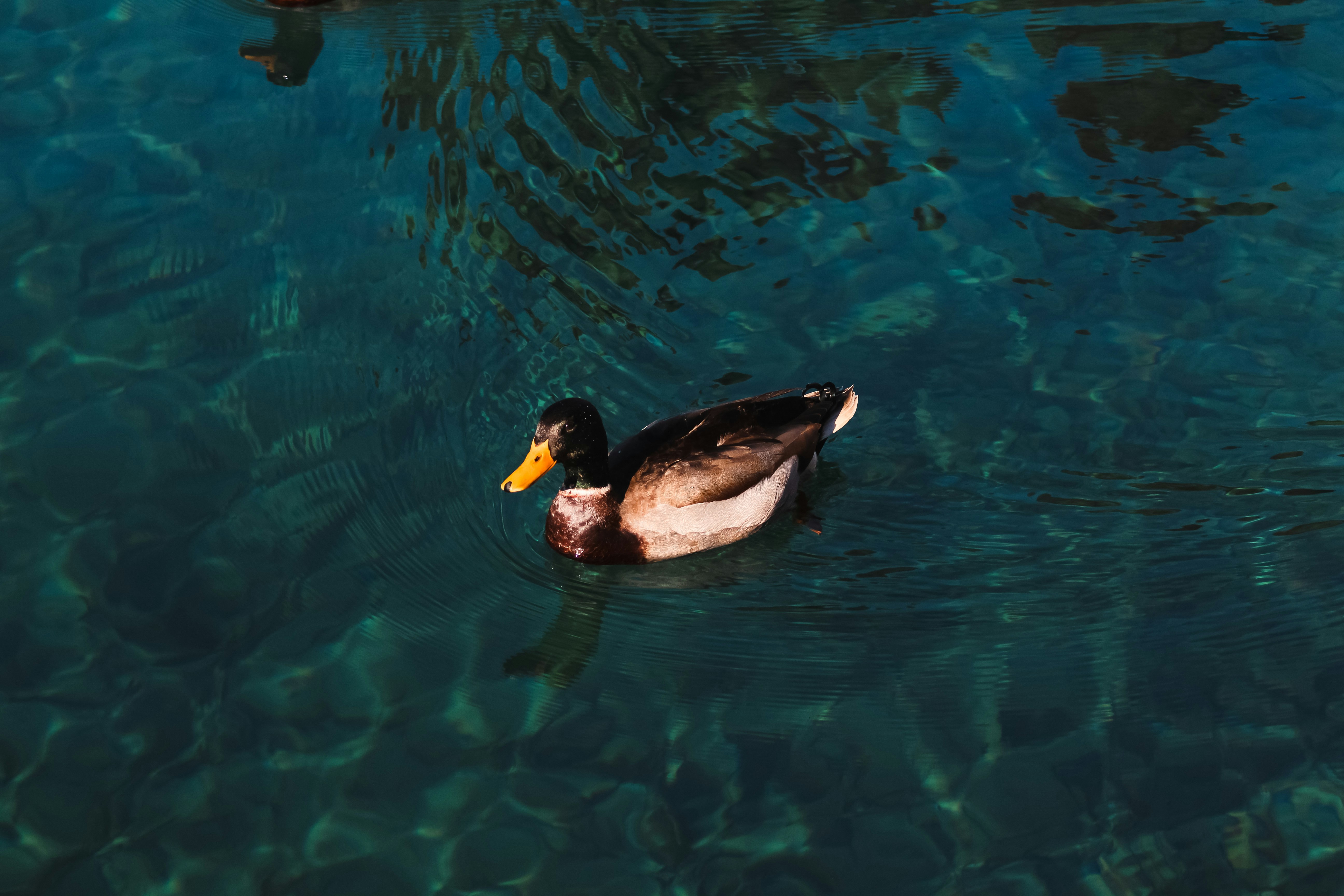 Photo by feliciafelicia