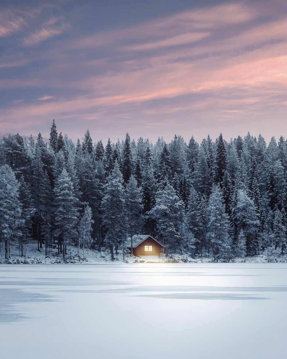 a cabin in the middle of a snowy forest