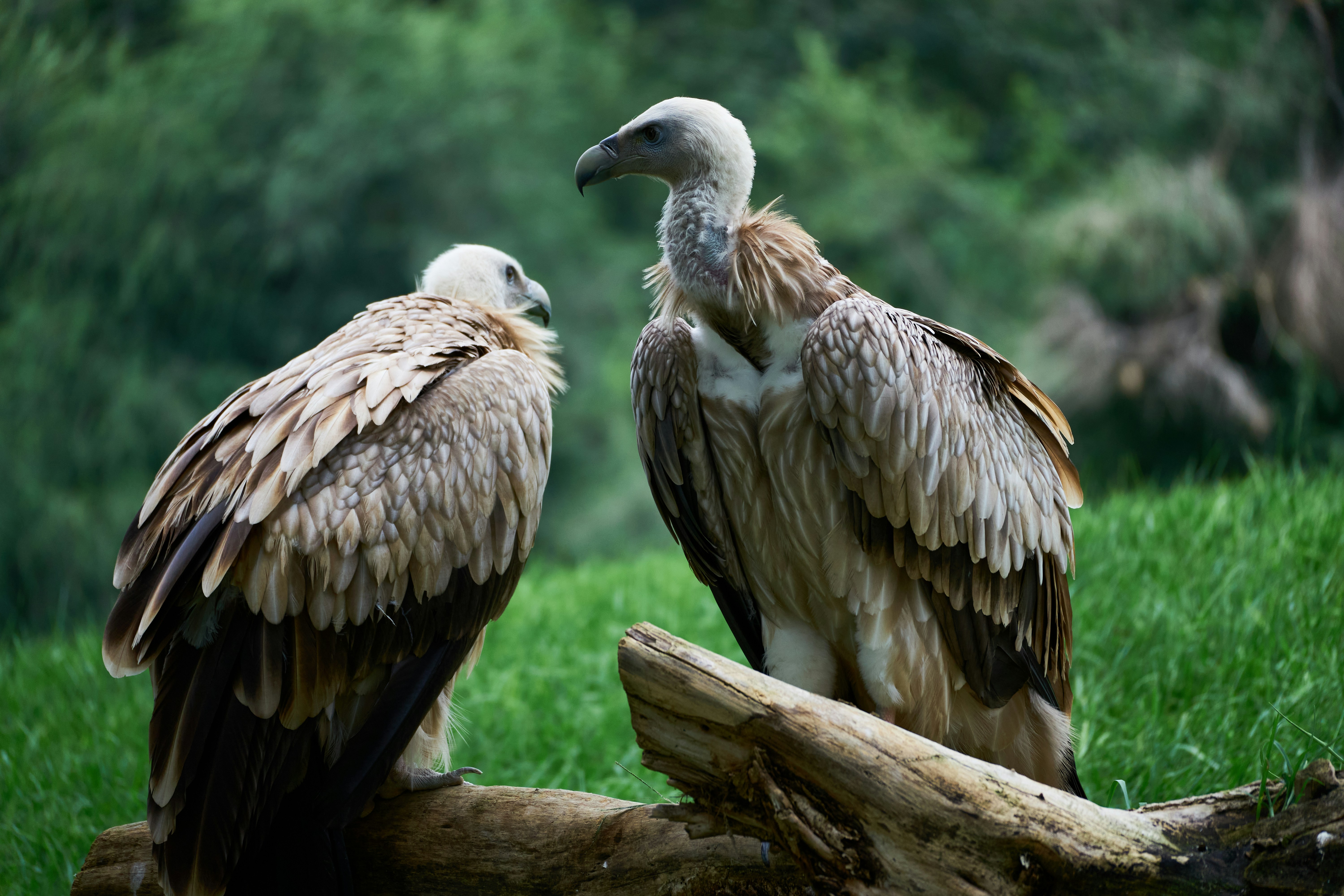 woman wearing yellow long-sleeved dress under white clouds and blue sky during daytime