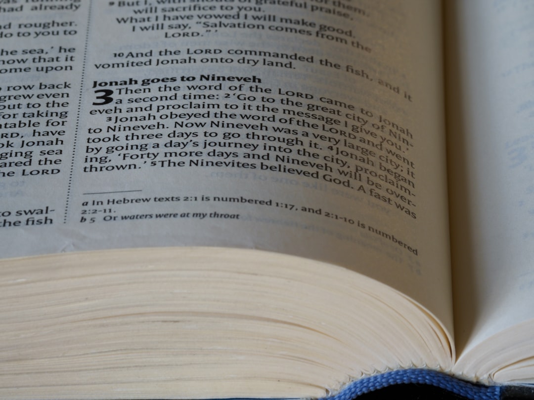 a close up of an open book on a table, close up, bokeh, macro, blur, blurred background, close focus, bible, old testament, hebrew bible, christian, judaism, history, text, reading, bible study, devotions, New International Version, type, typography, canon, christianity, scripture, old testament, hebrew bible, jonah, jonas, judgment, judgement, nineveh, big fish,