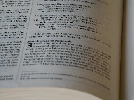 a close up of a book with an open page