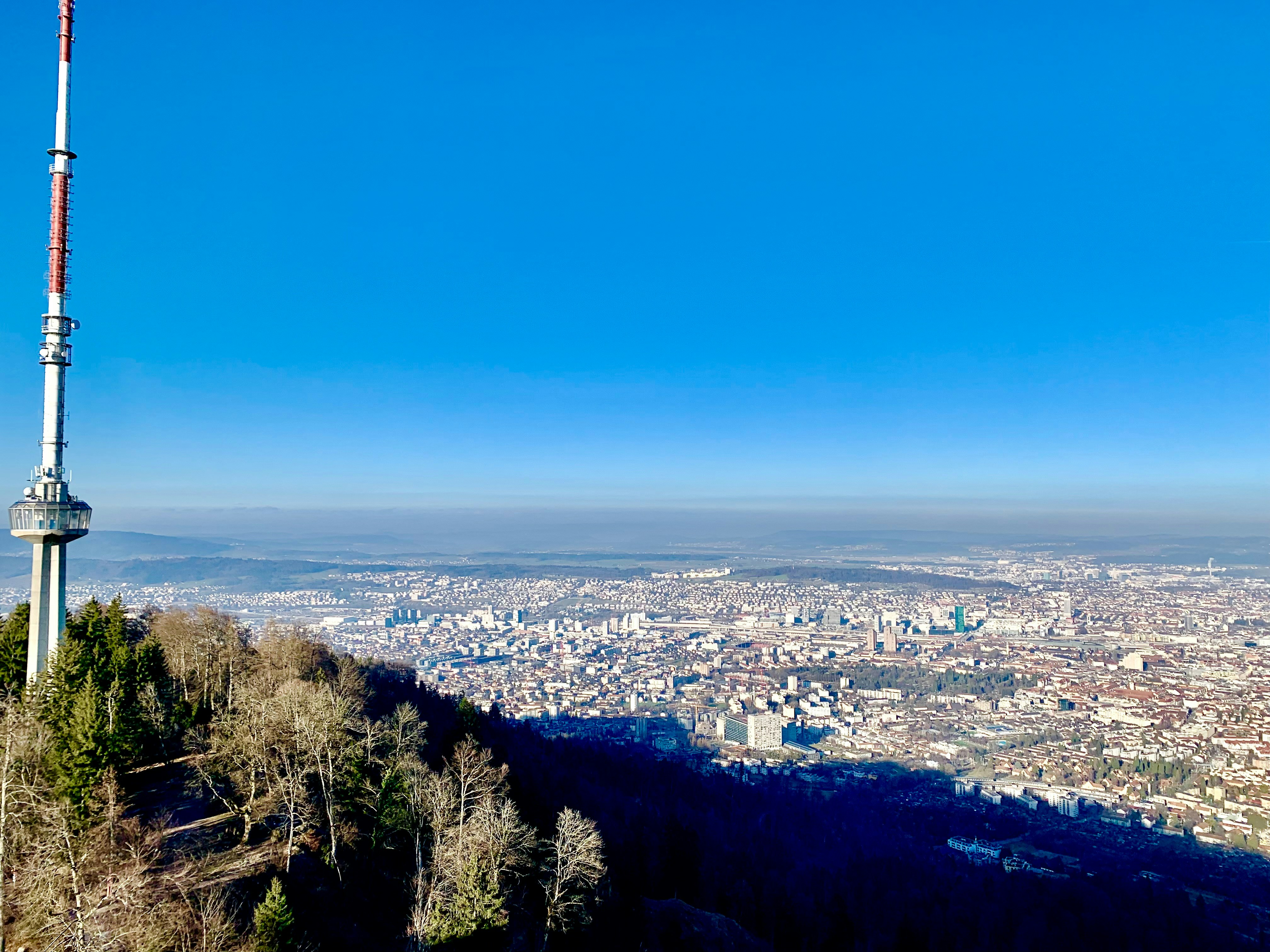 Photo by keenthebluberryeater