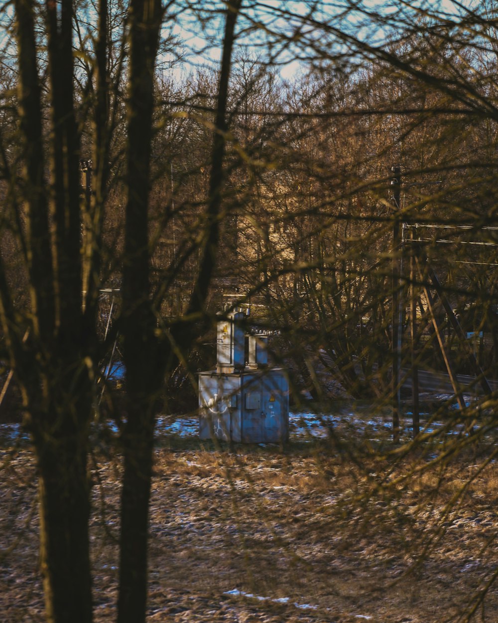 a small blue building sitting in the middle of a forest