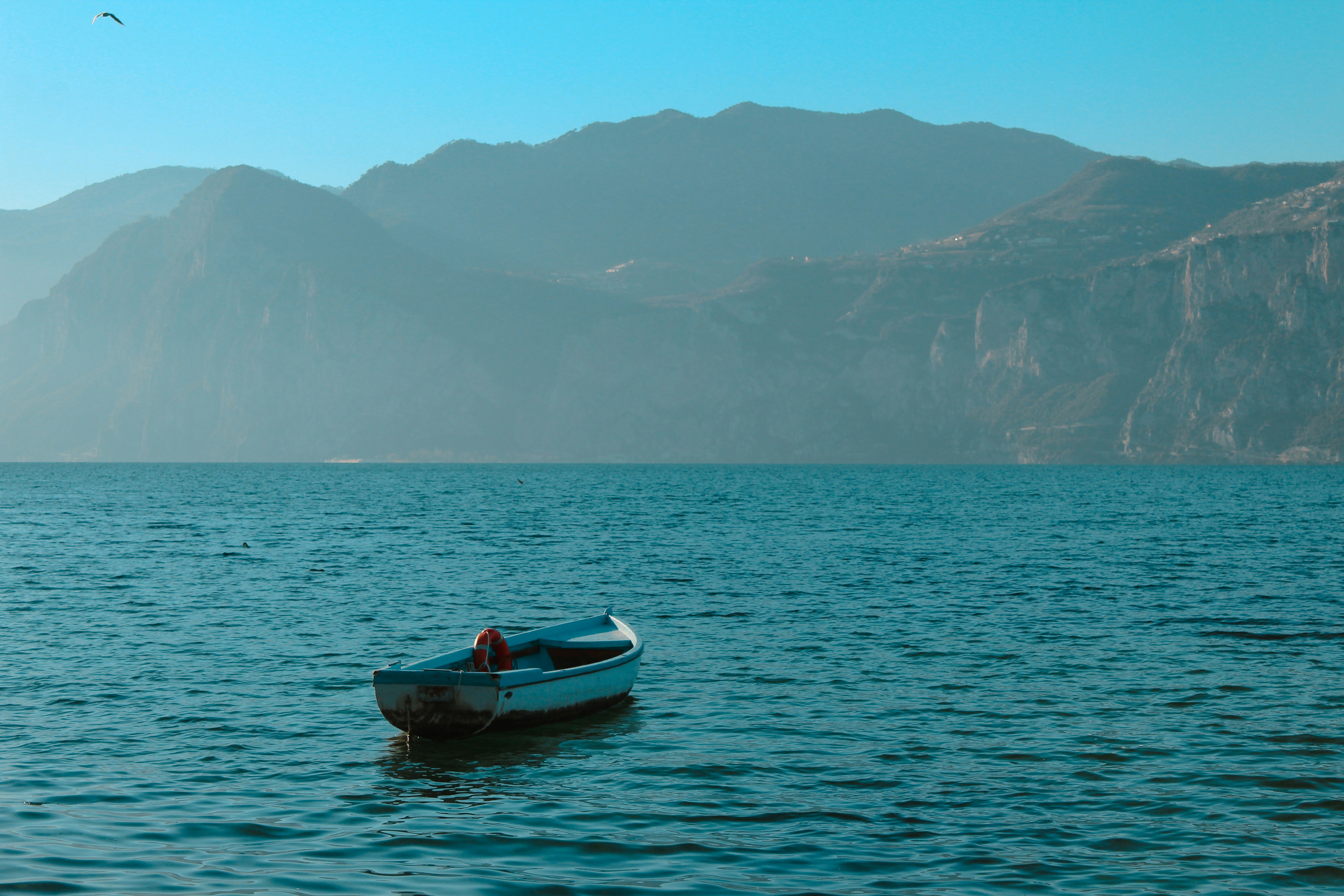 Photo by feliciafelicia