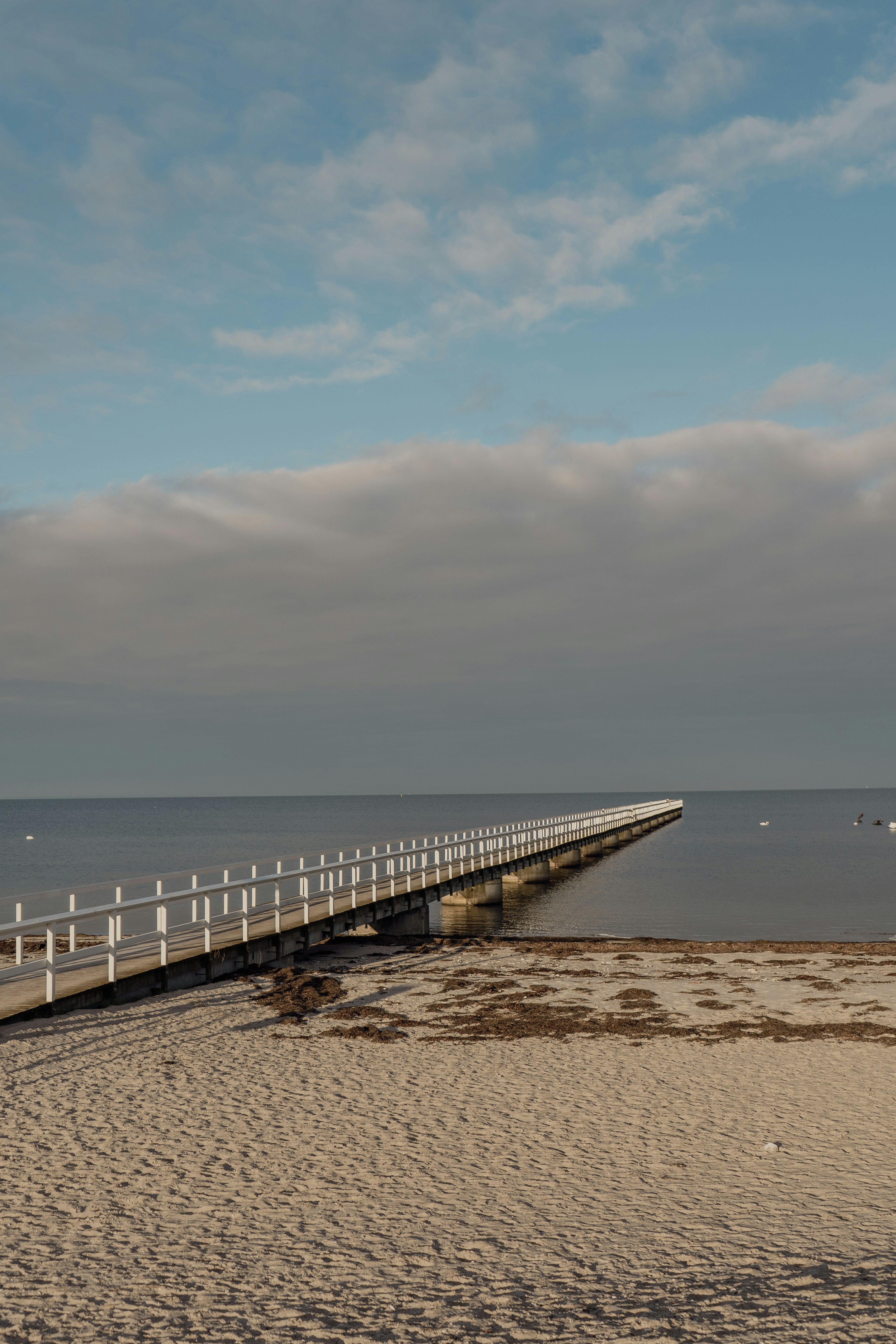 Photo by karthickgislen