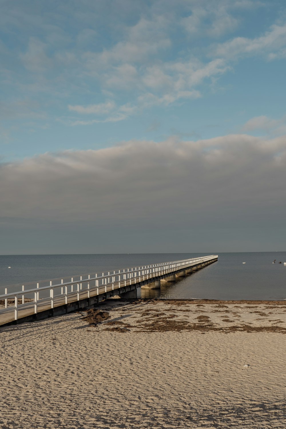 a long pier stretches out into the ocean