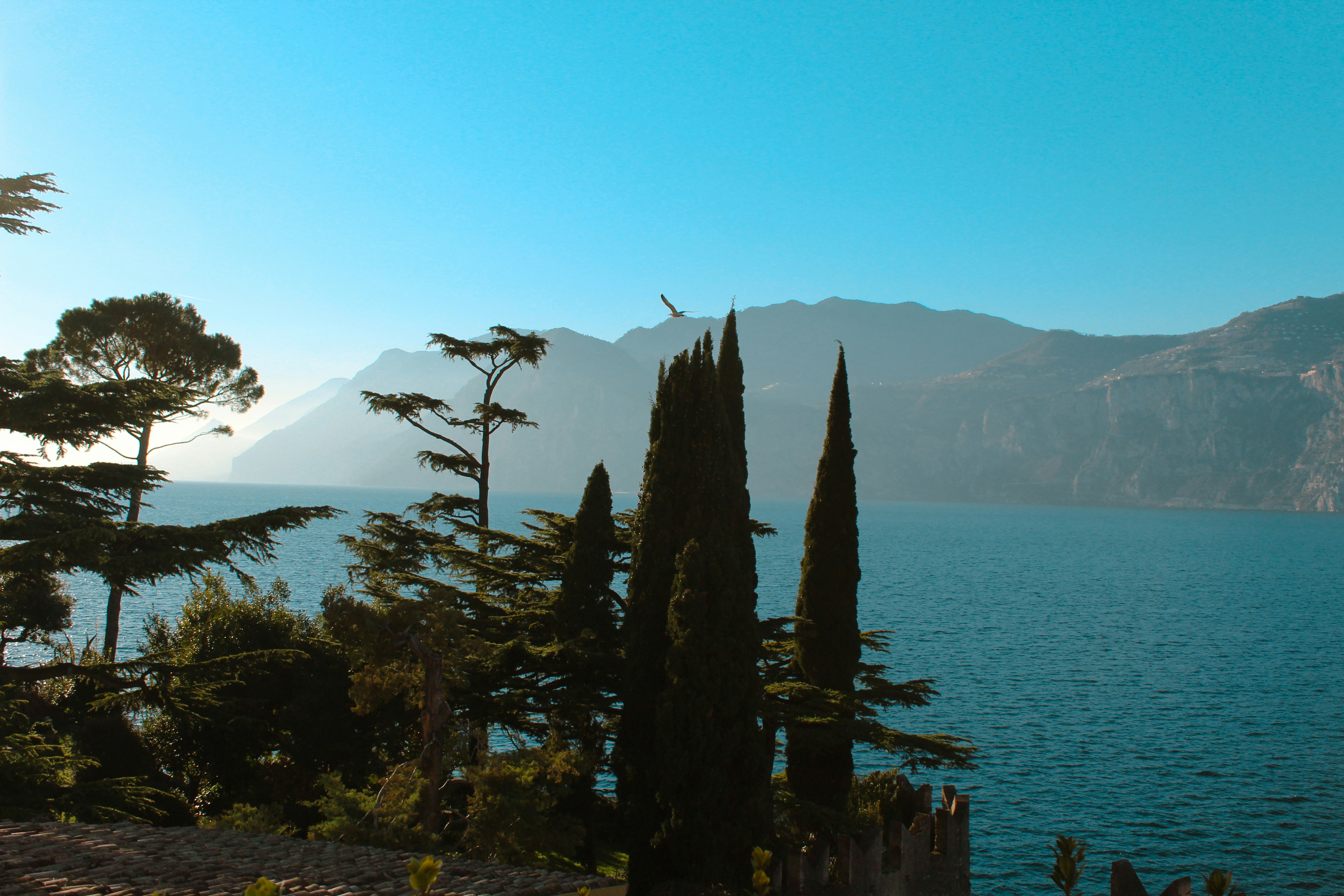 a body of water surrounded by trees and mountains