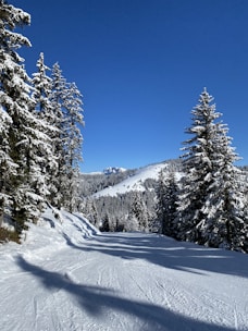a person riding skis down a snow covered slope