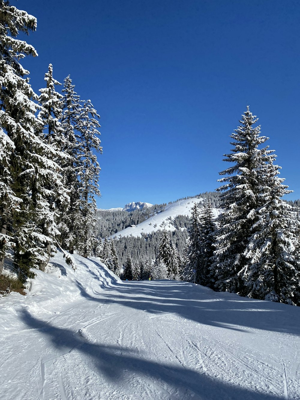 a person riding skis down a snow covered slope