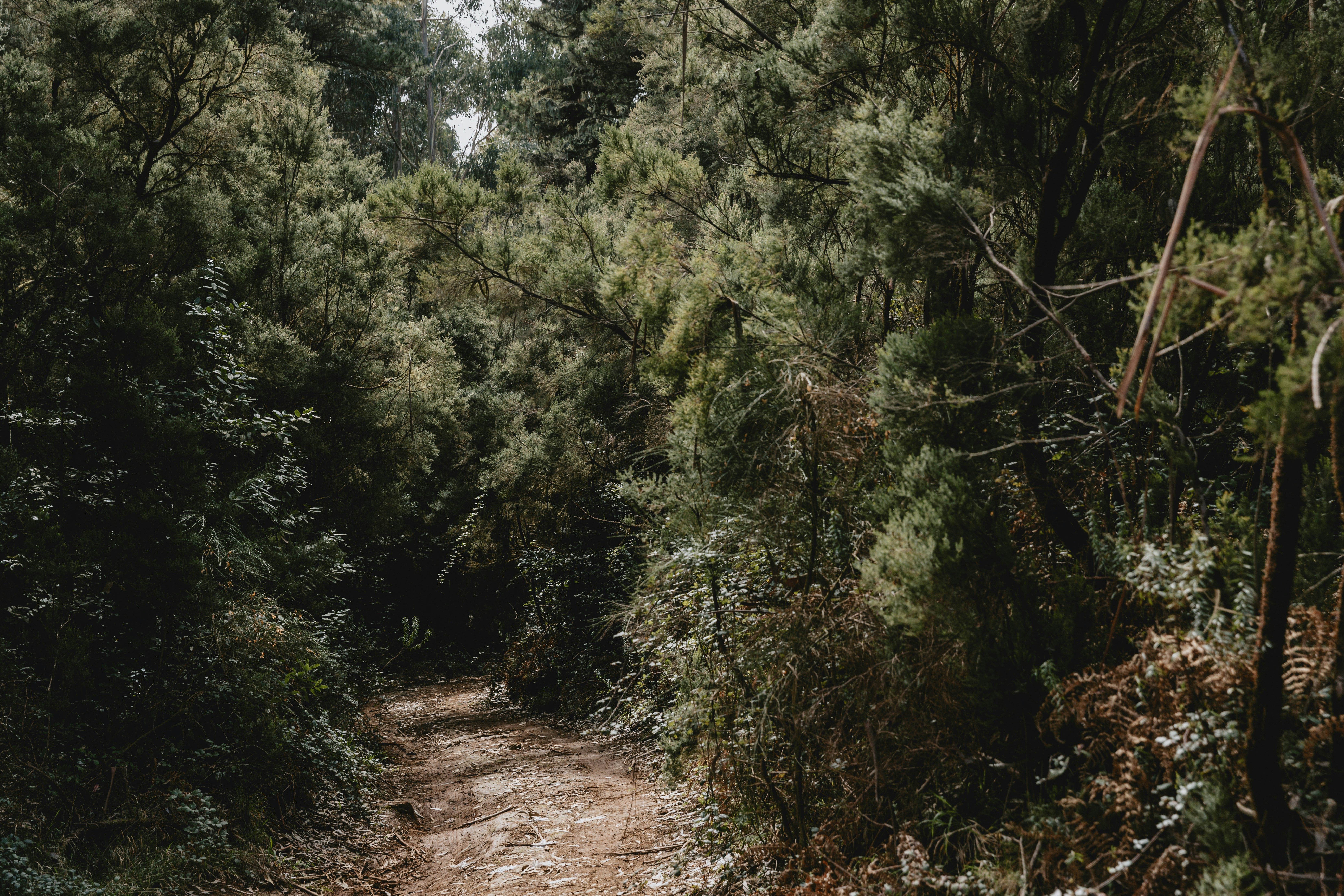 Photo by tomashudolin