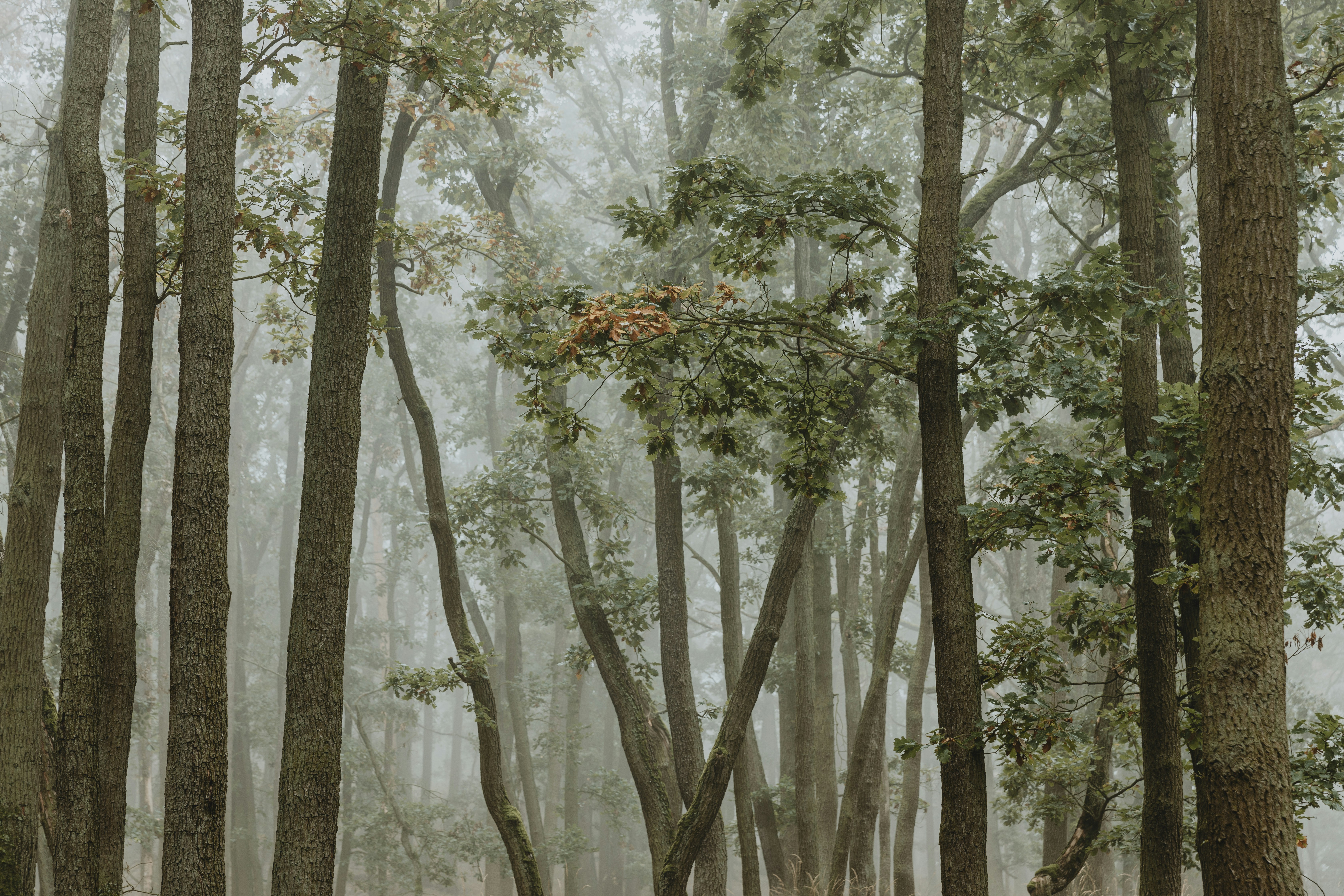 Photo by tomashudolin