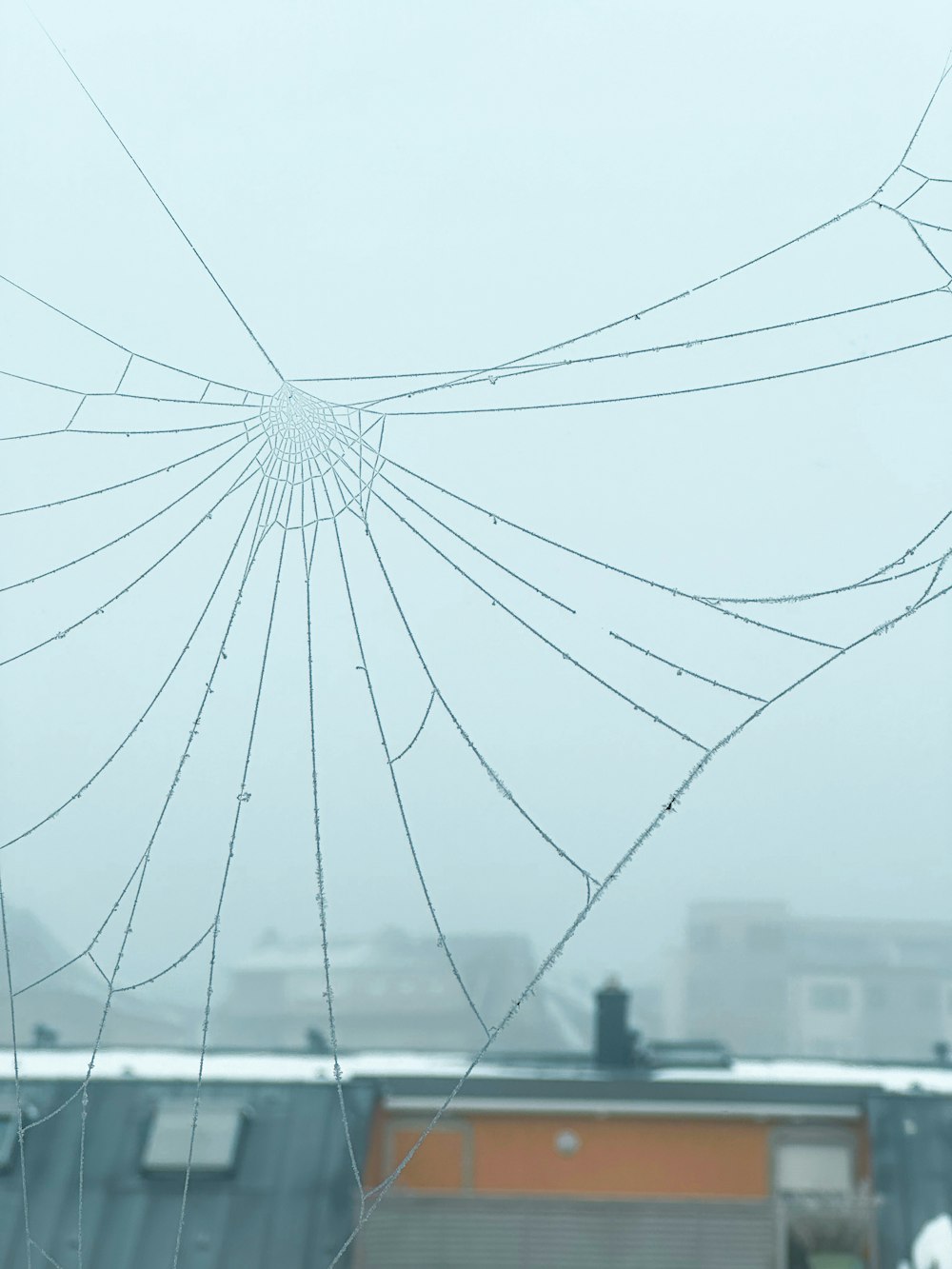 a spider web with a building in the background