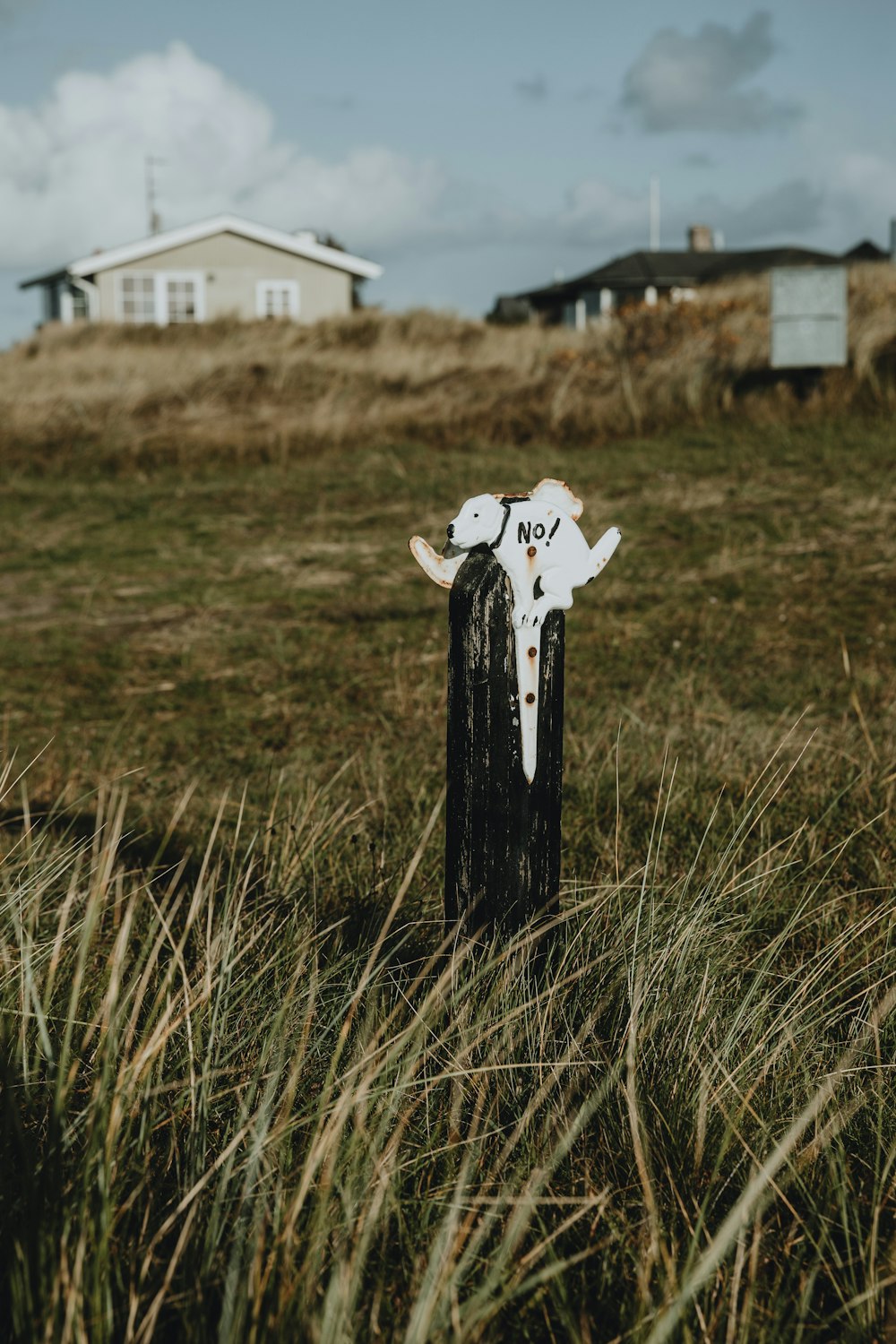 a cow head on a fence post in a field