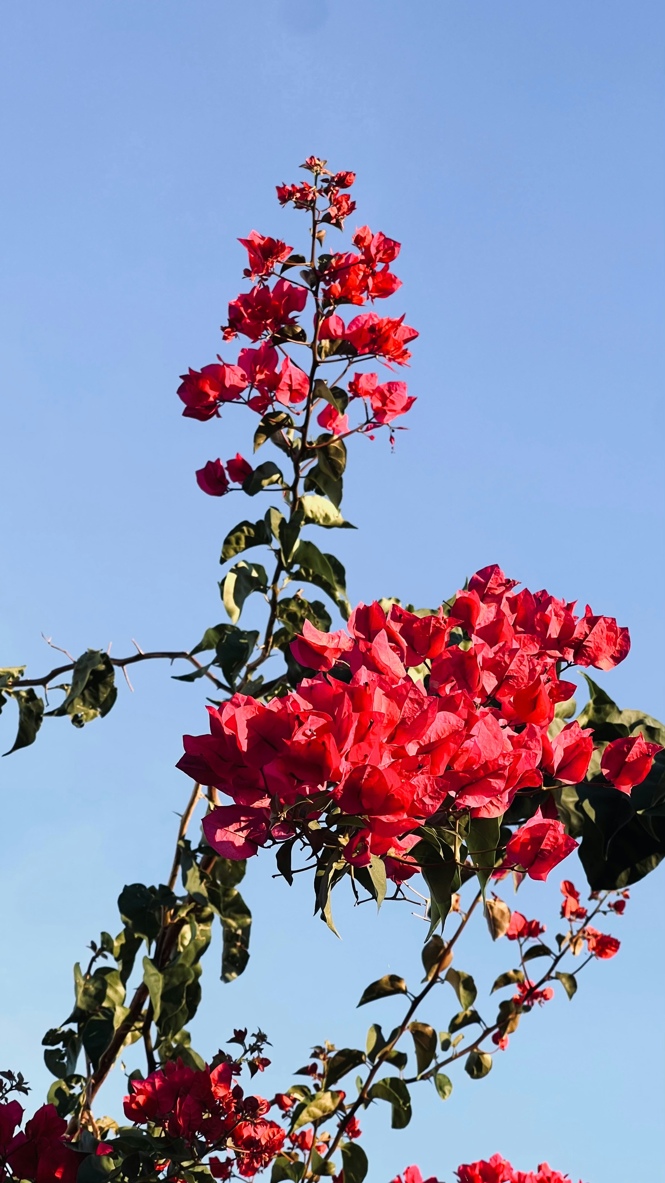 Larnaca – Accommodation & Where to Stay