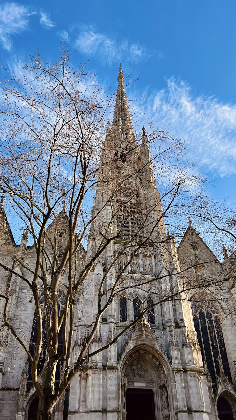 a large cathedral with a tree in front of it