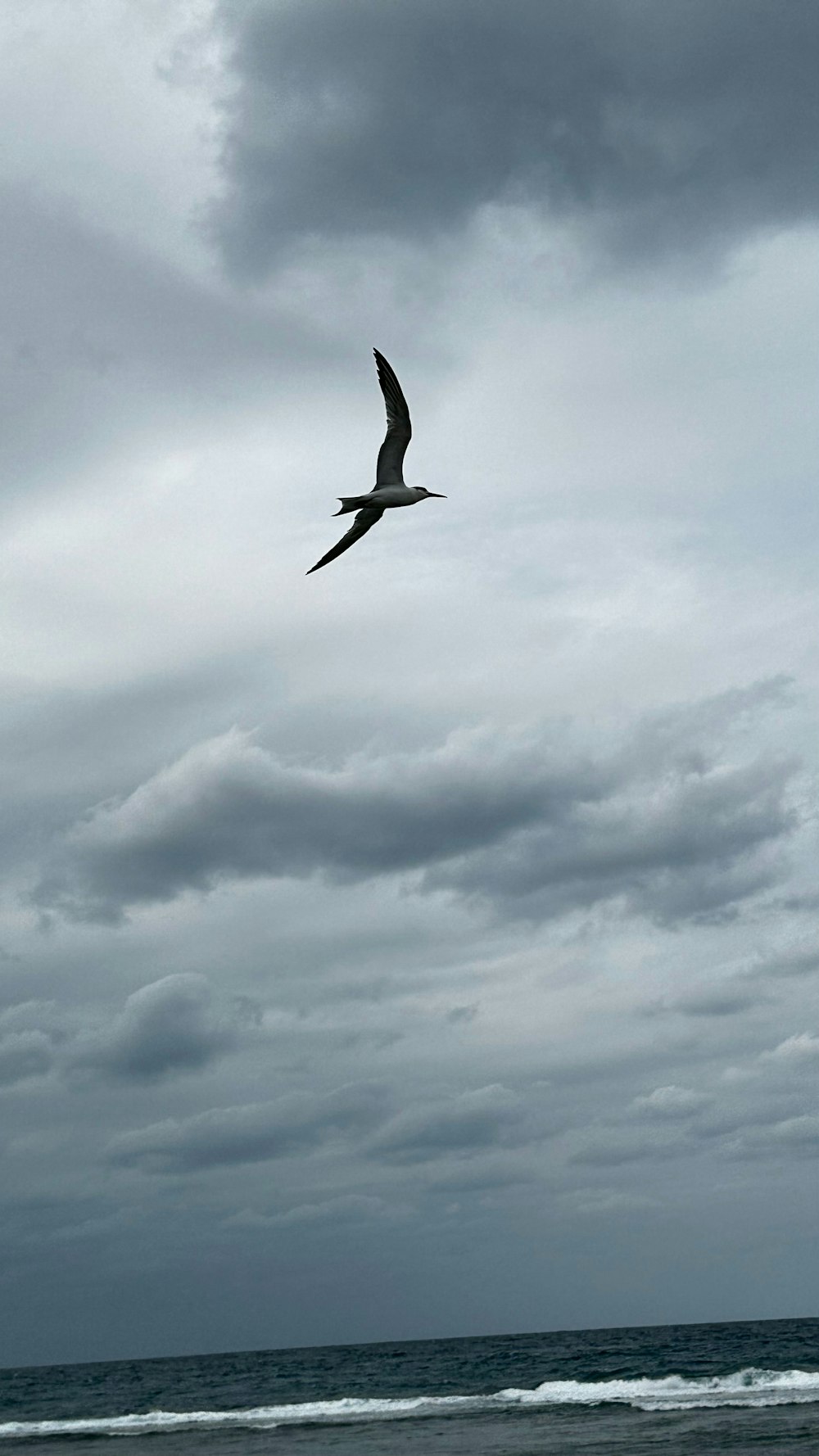 a bird flying over the ocean under a cloudy sky