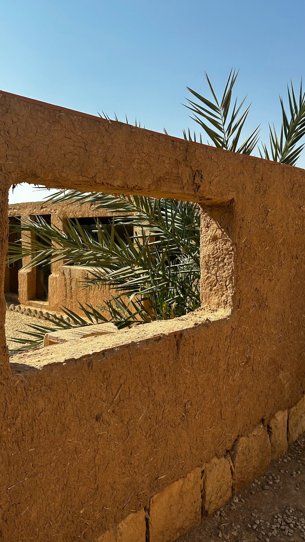 a building with a palm tree in the window