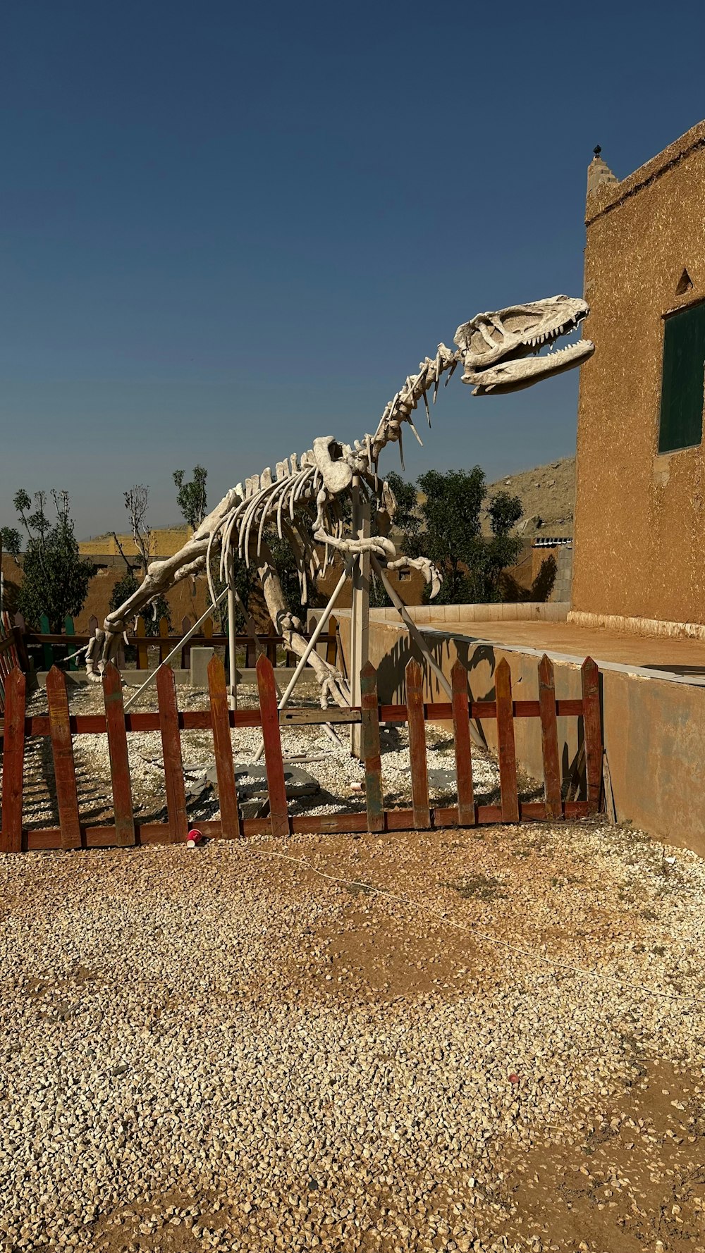 a skeleton of a dinosaur in front of a building