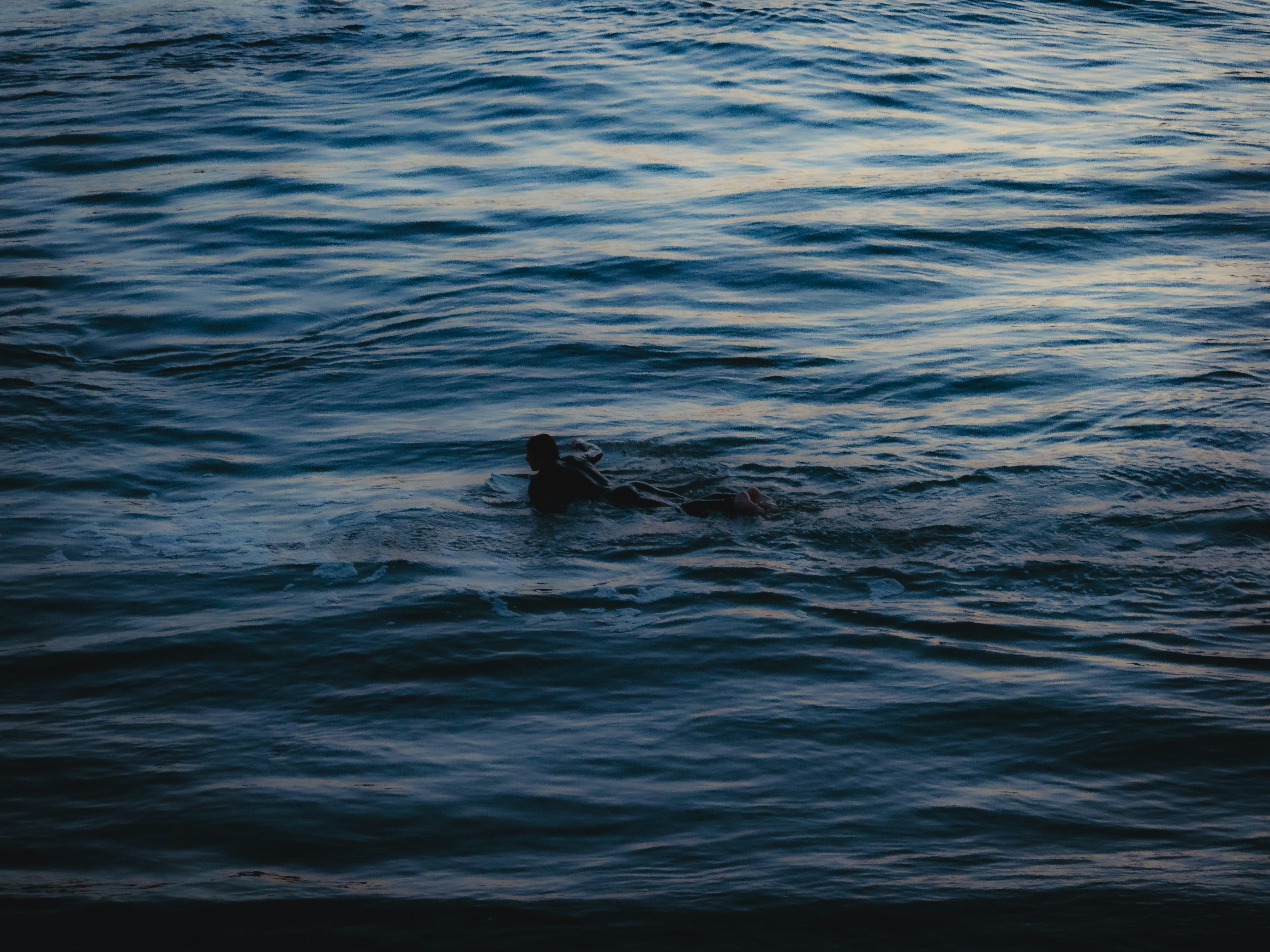 Photo by sohan_shingade