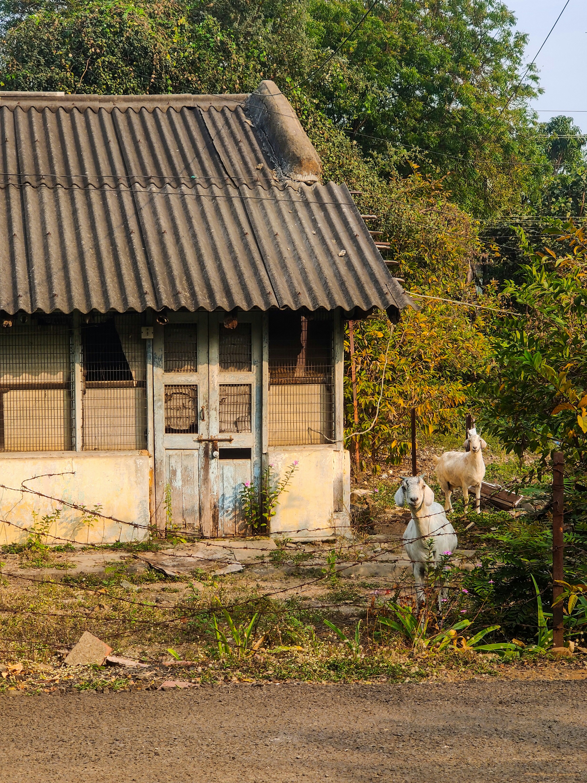 Photo by leointhemaking