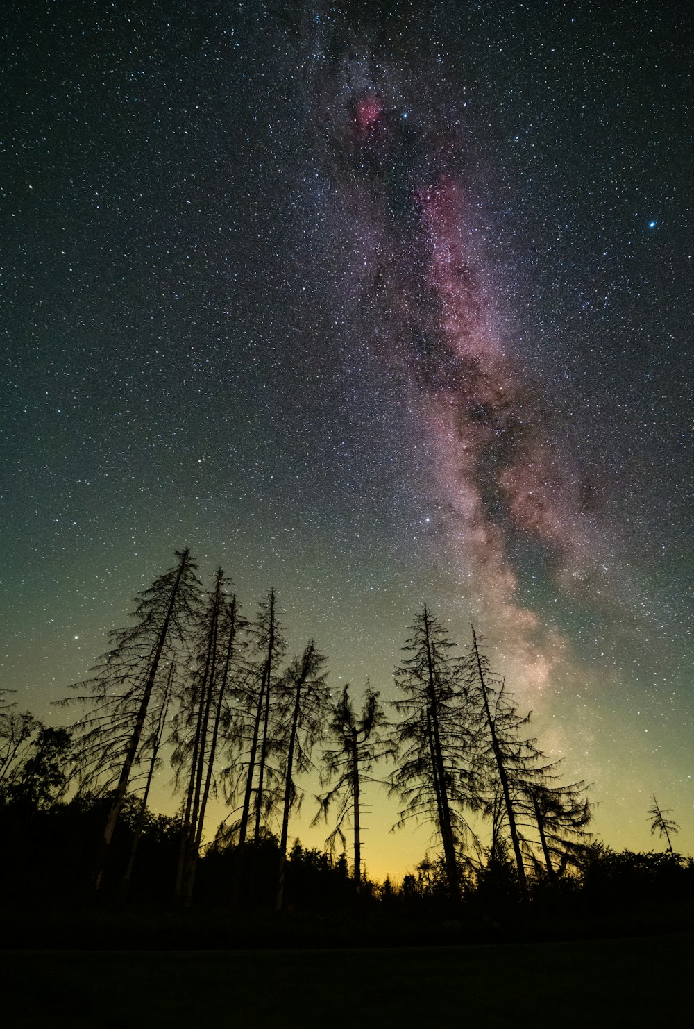 a night sky filled with stars and trees