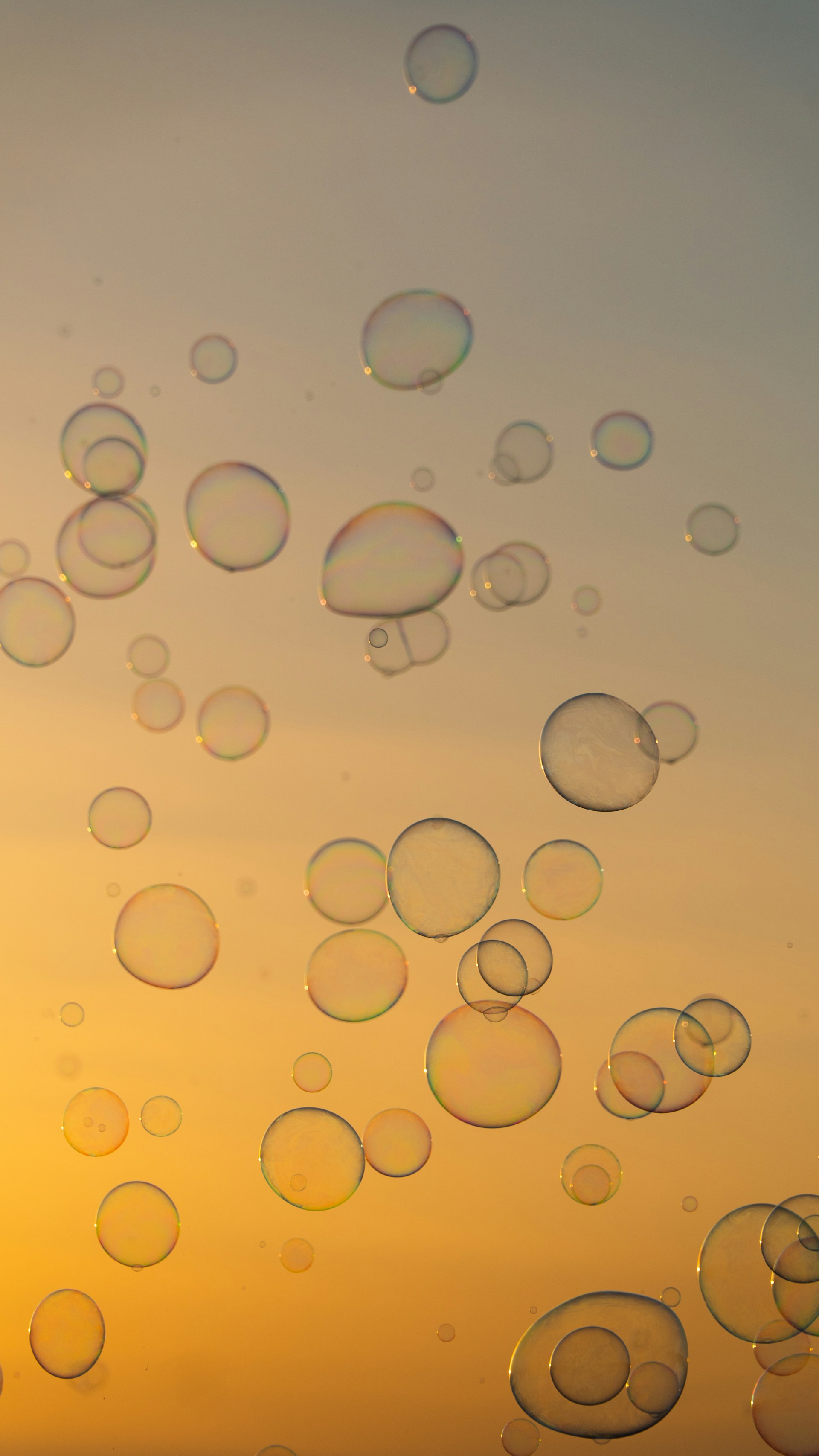 a bunch of bubbles floating in the air