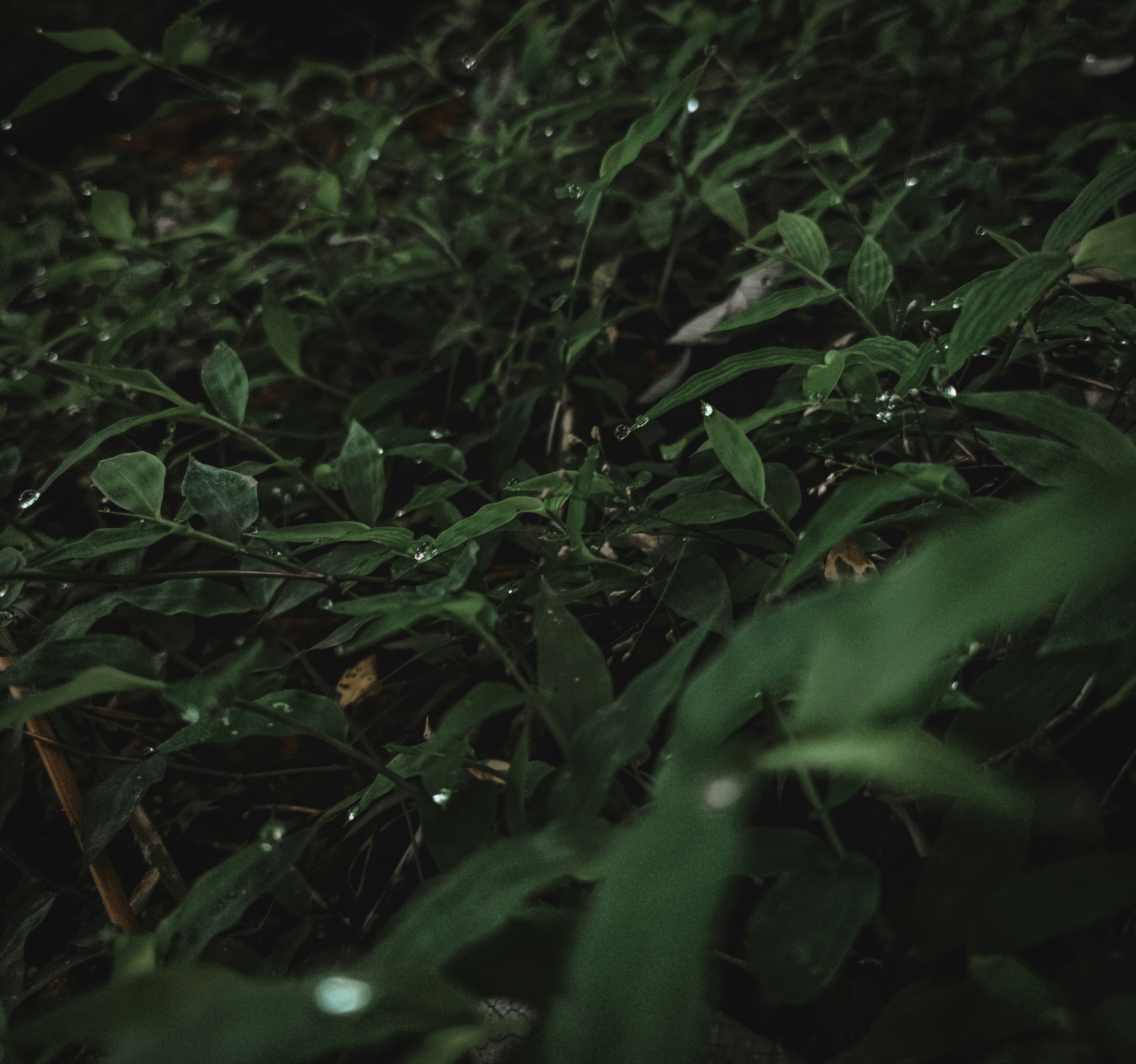 Photo by true_reflection_s