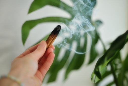 comment utiliser le Palo Santo