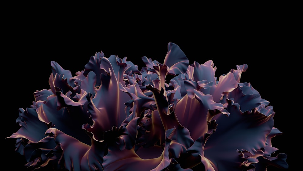 a bunch of purple flowers on a black background