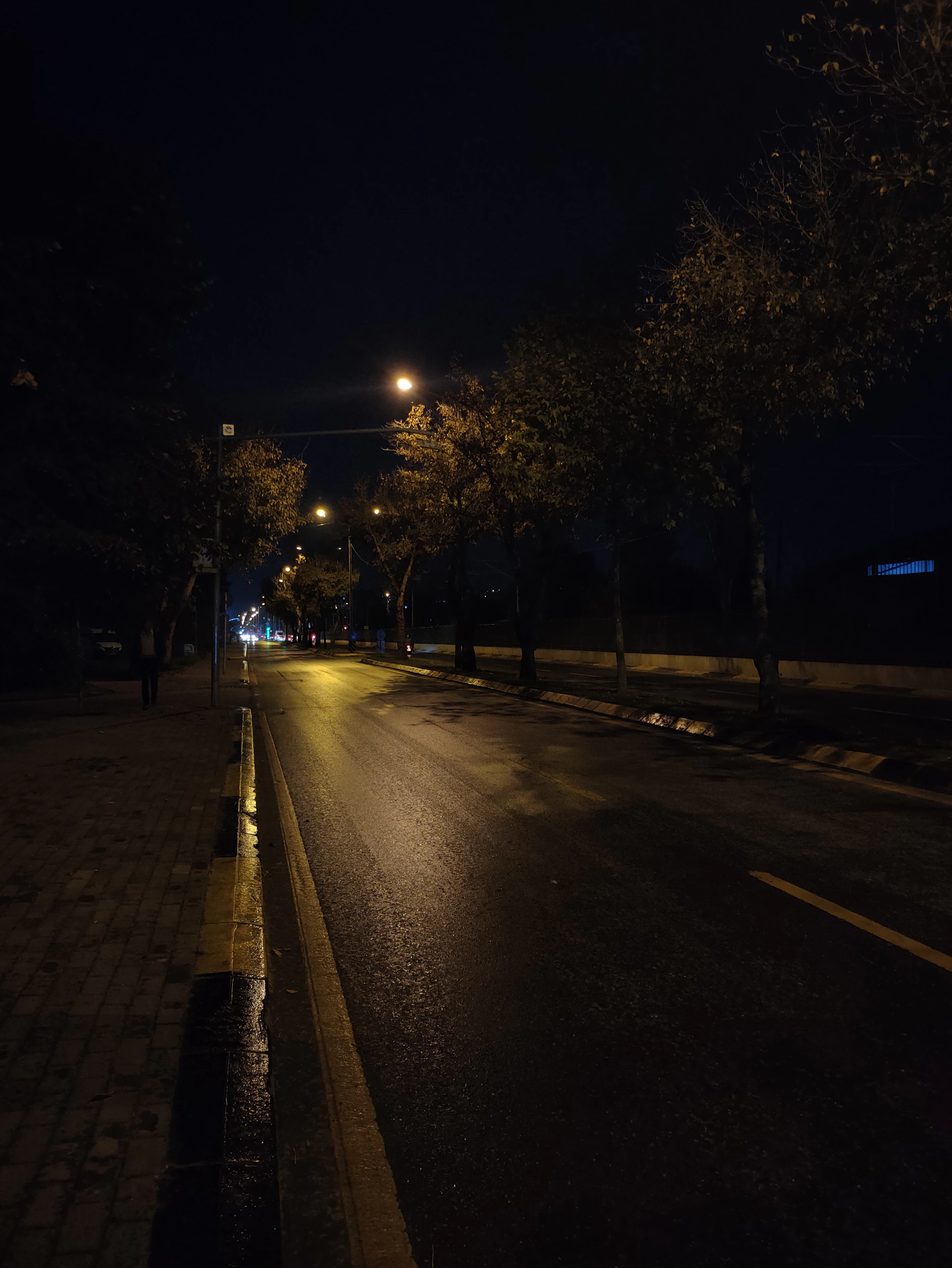 a street at night with a street light on