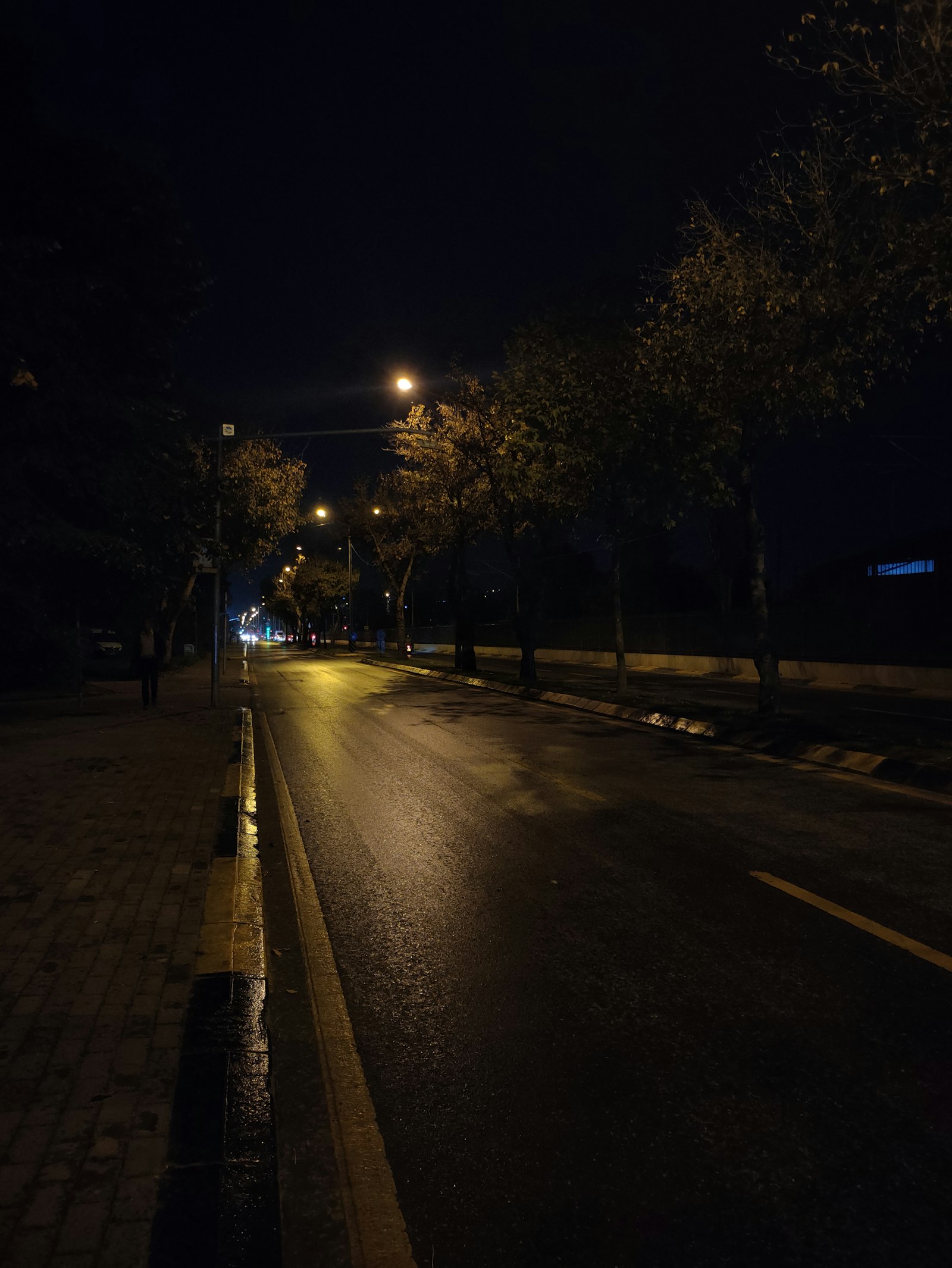 Ánh đèn hổ phách trên con đường quen thuộc