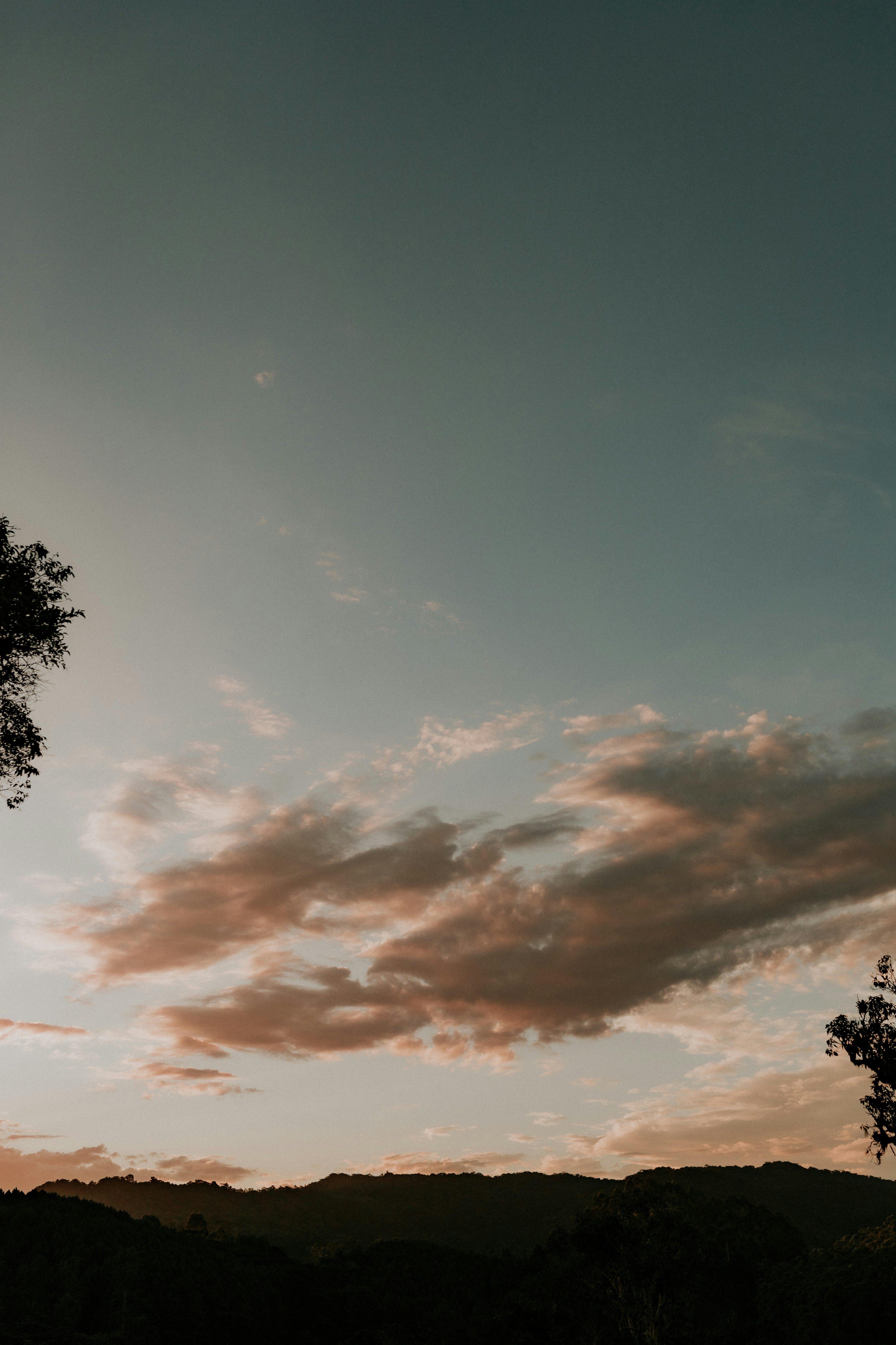 Photo by alexandermassph