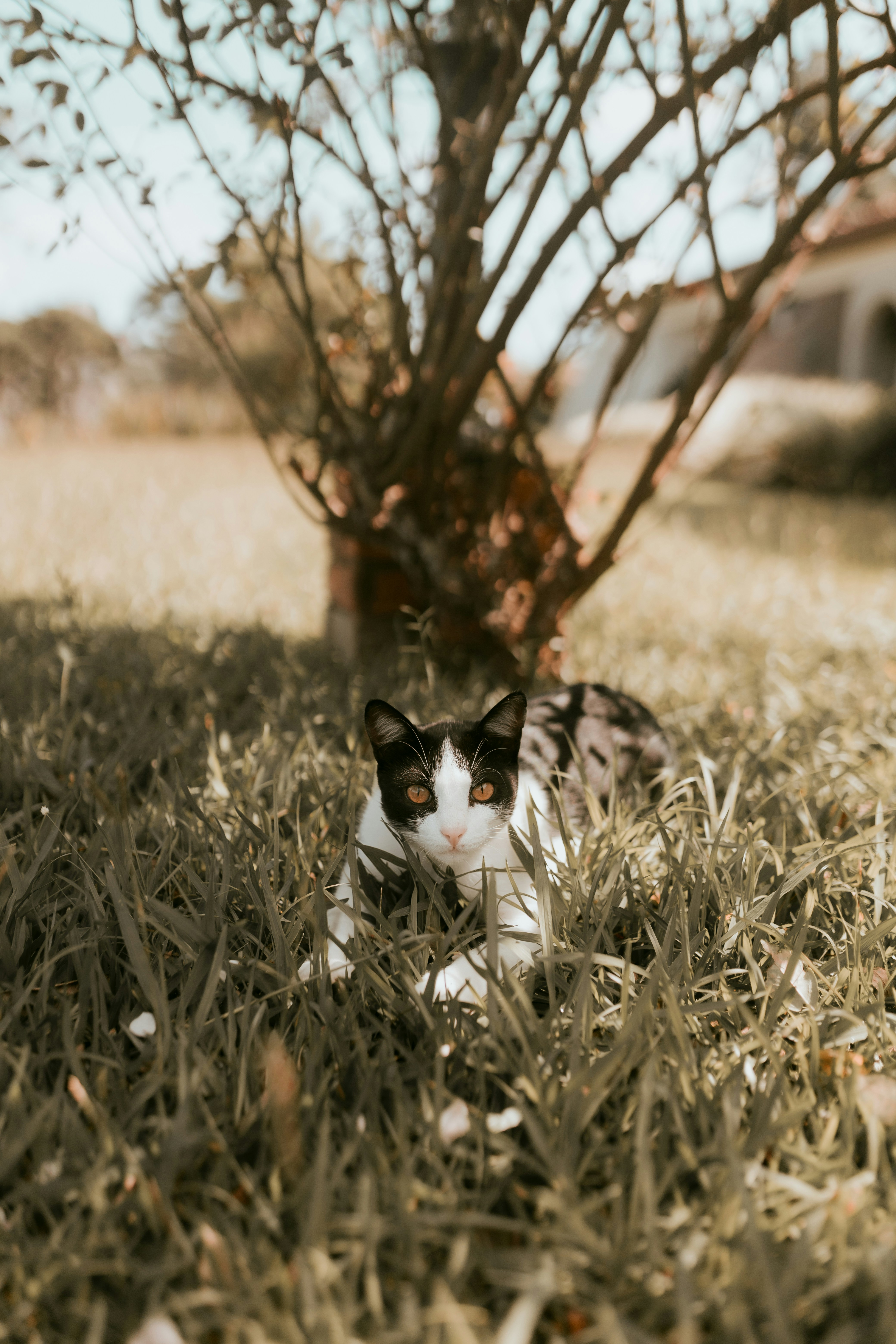 Photo by alexandermassph