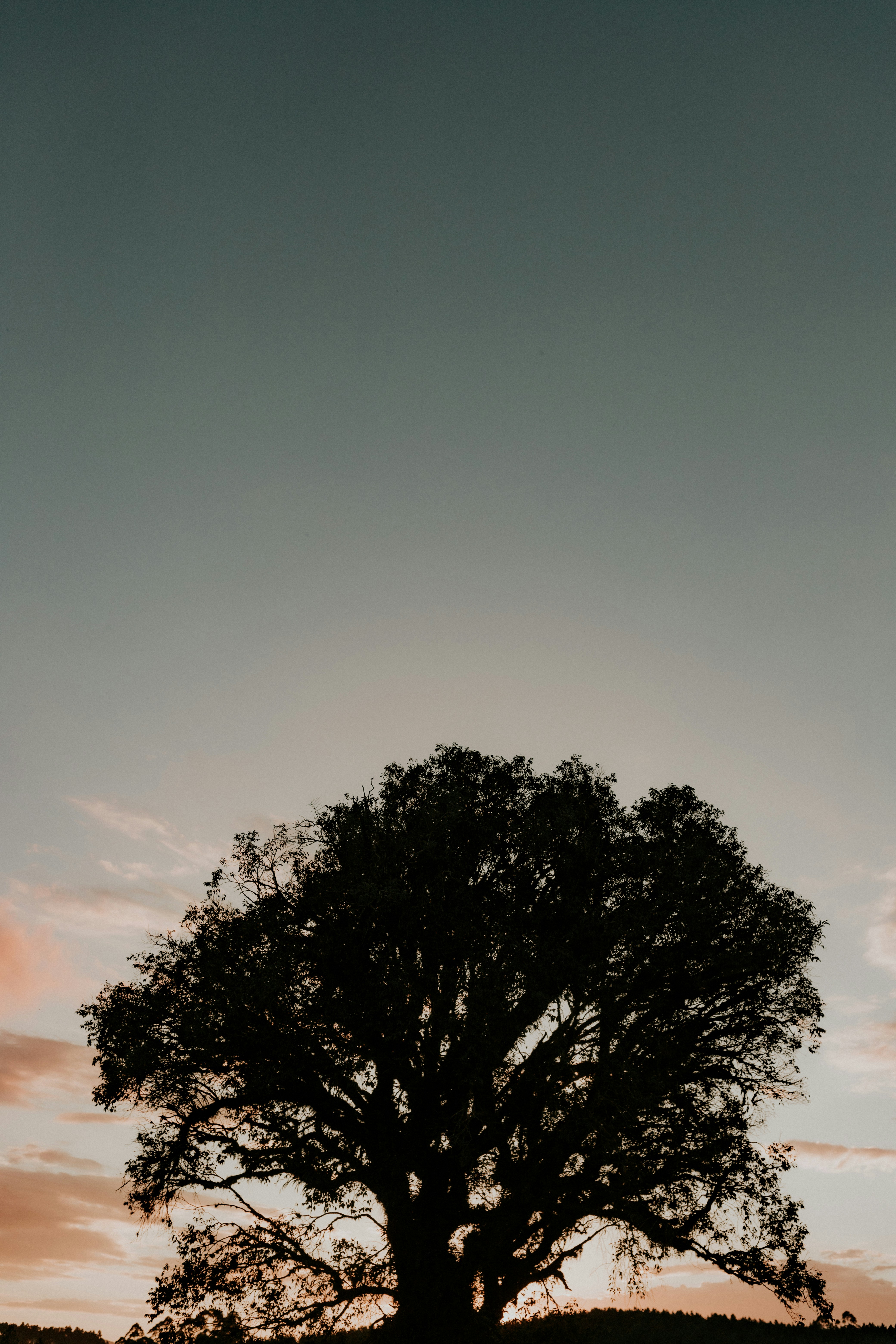 photo-1706876978262-8e195871e4e4?ixid=M3wxMjA3fDB8MXxzZWFyY2h8MTV8fHJlZHBva2llcy5jb218ZW58MHx8fHwxNzY3MTU3NzI5fDA\u0026ixlib=rb-4.1.0