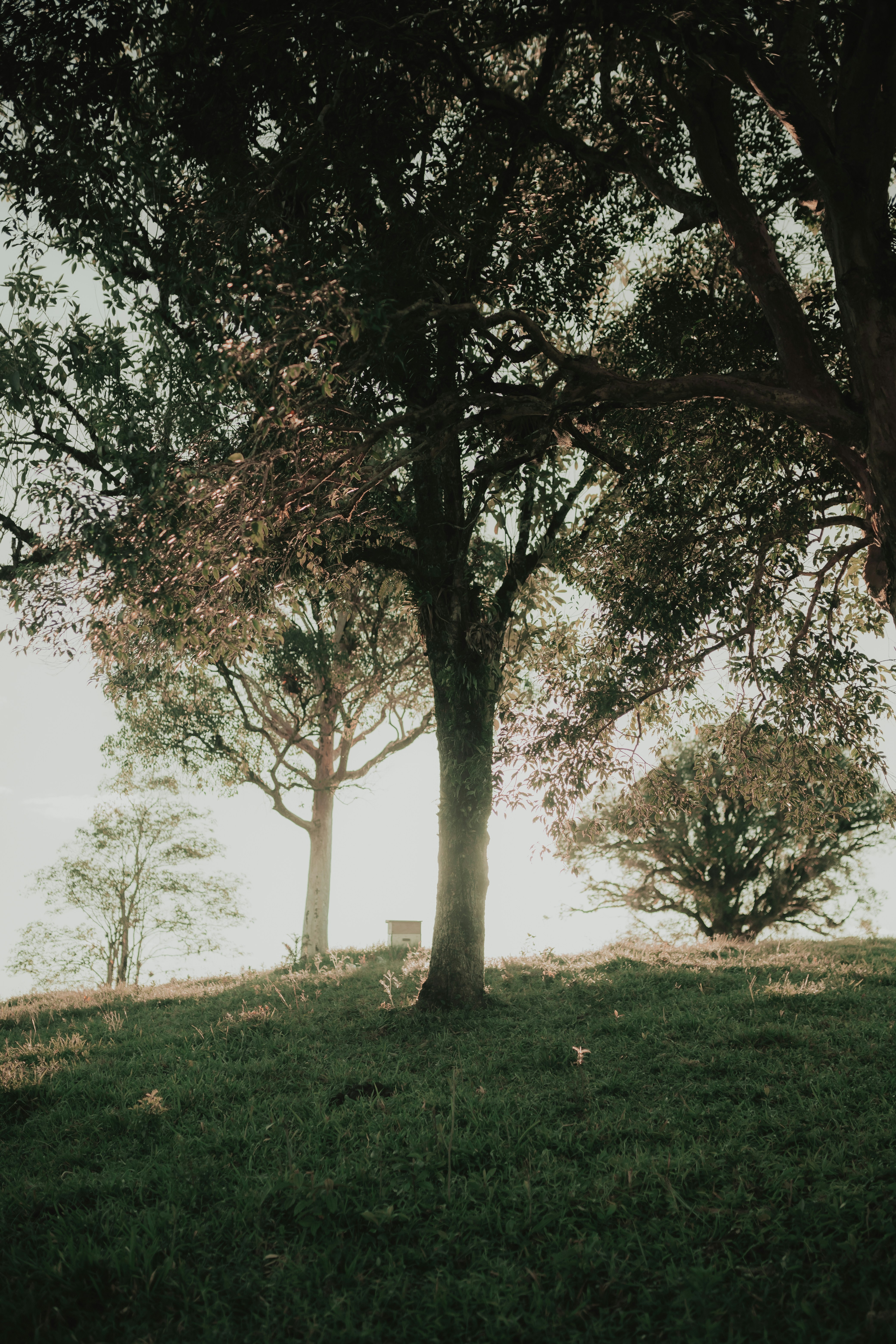 Photo by alexandermassph