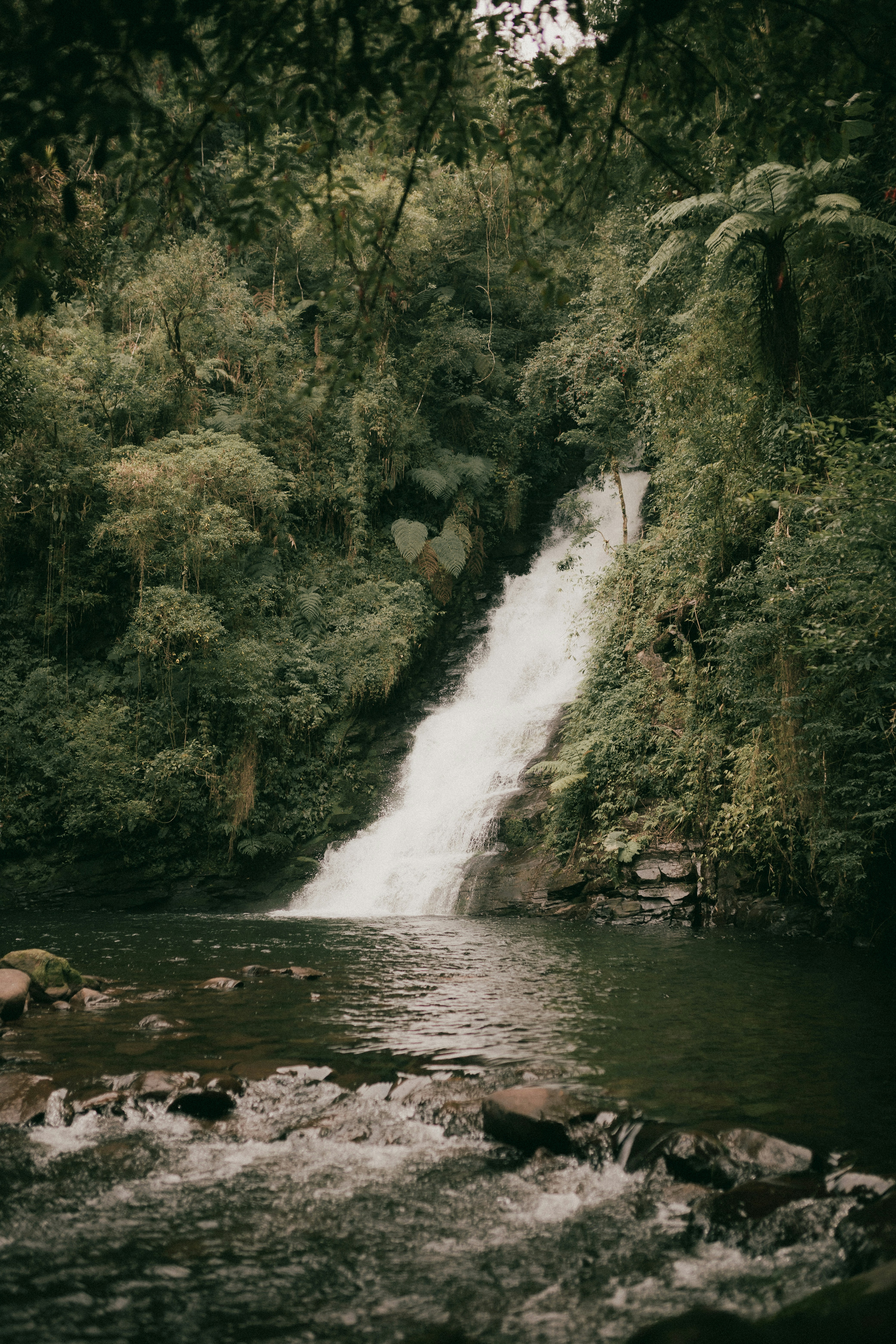 Photo by alexandermassph