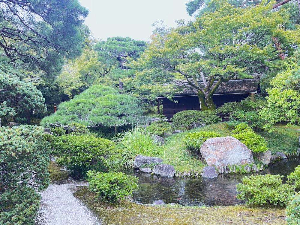 a small pond surrounded by trees and rocks