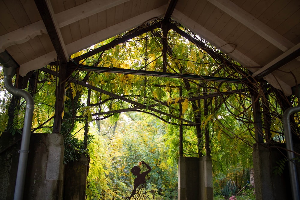 a person is standing under a canopy in the woods