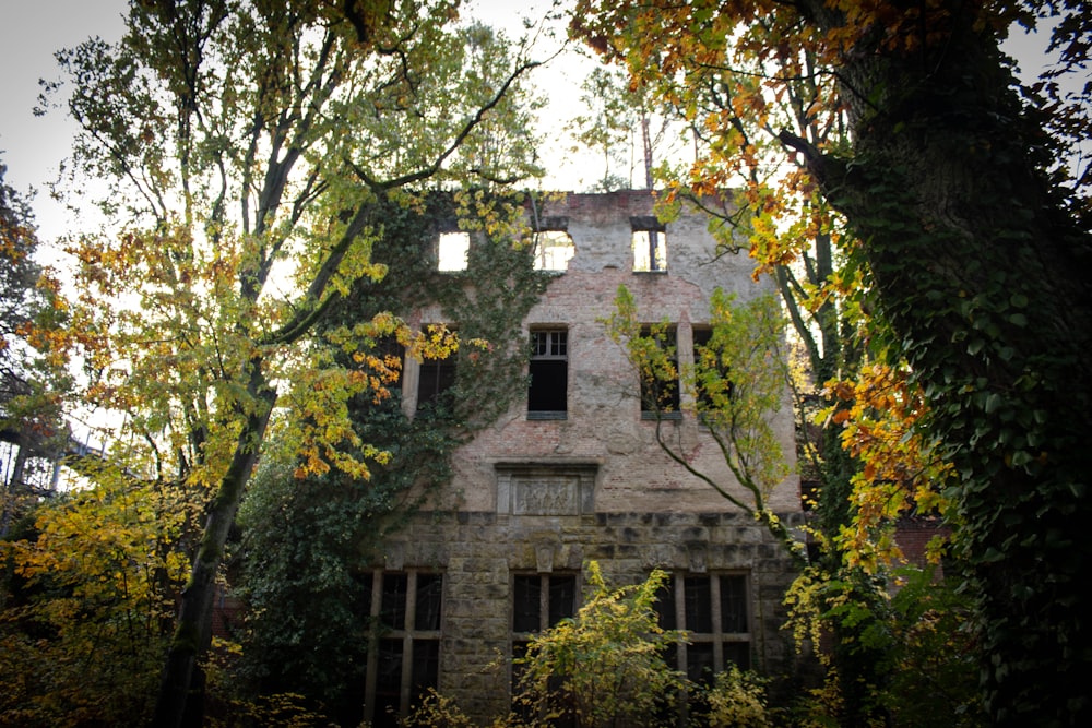 an old abandoned building surrounded by trees and foliage